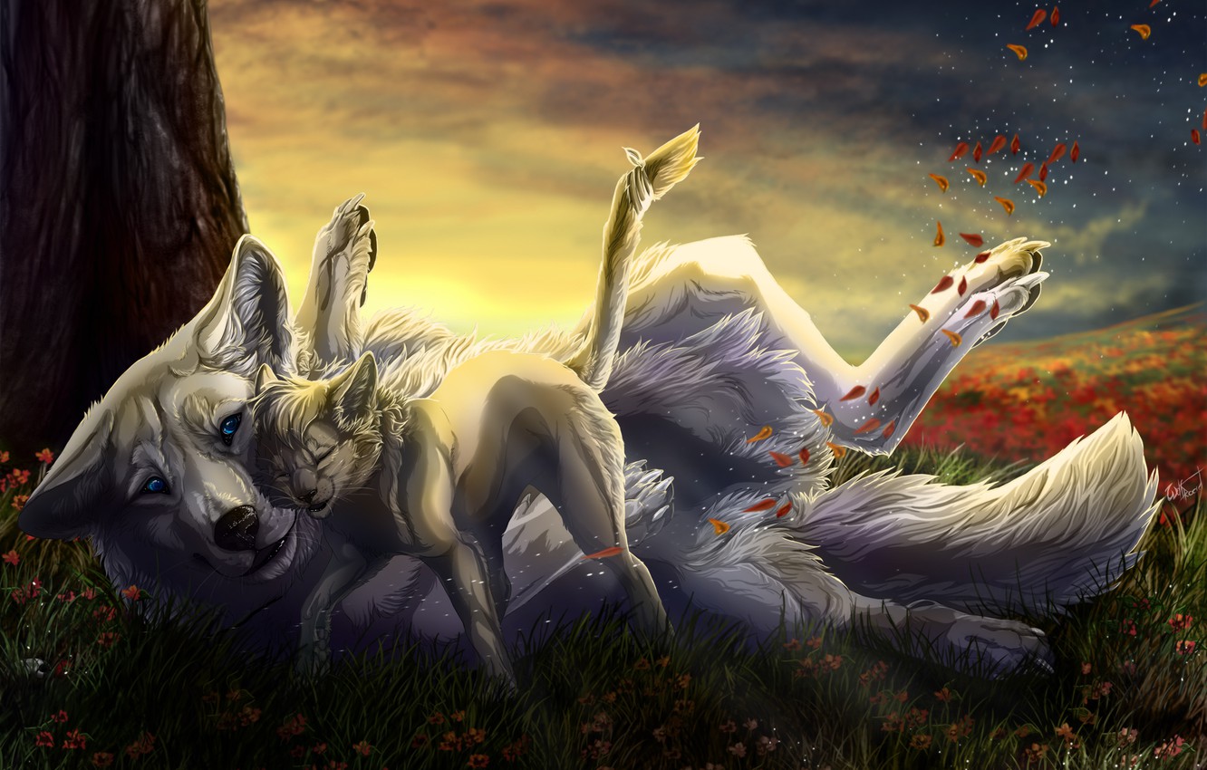 Wallpaper autumn, cat, wolf image for desktop, section животные