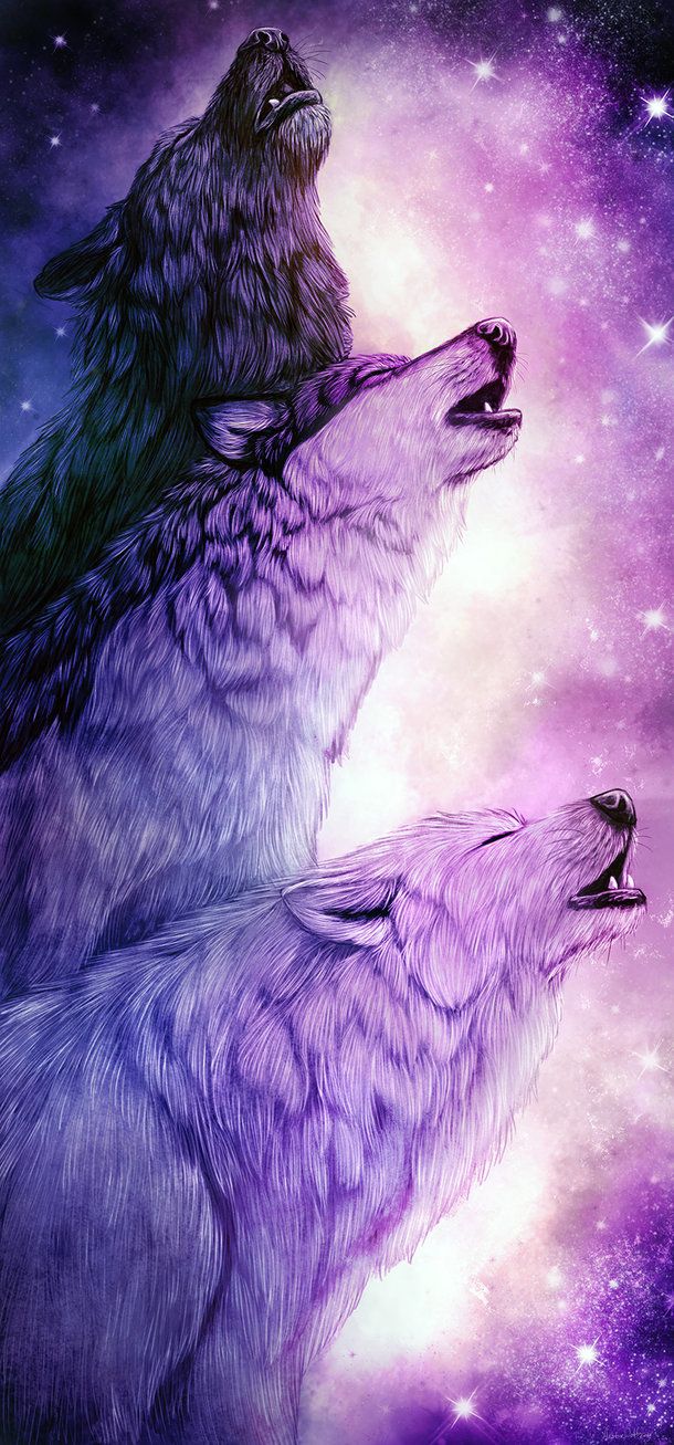 wolf. Wolf wallpaper, Mythical creatures art, Wolf artwork