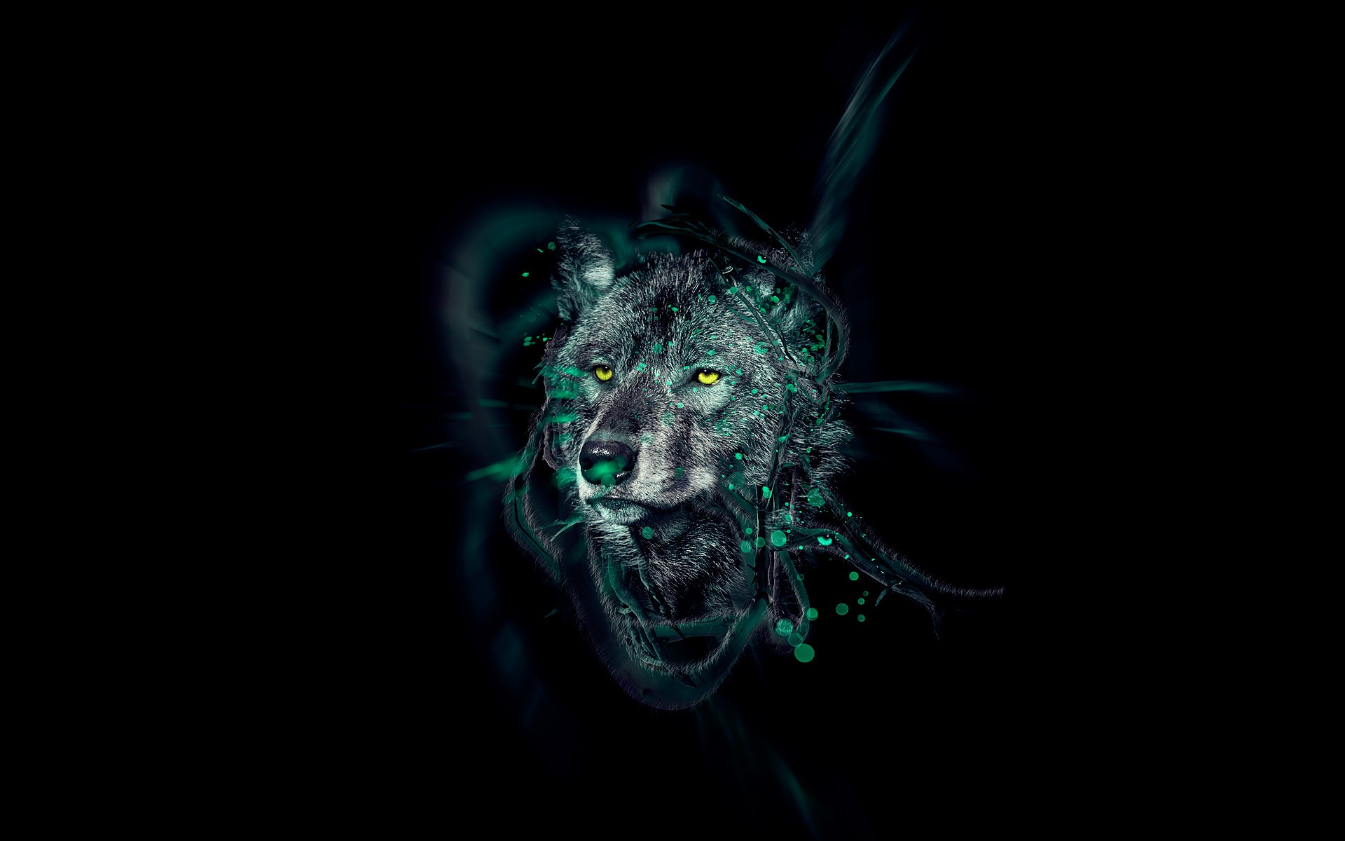 Free download Alpha and Omega image cool wolf pics HD wallpaper and background [1920x1200] for your Desktop, Mobile & Tablet. Explore Omega Wallpaper. Omega Wallpaper, Omega Cat Wallpaper, Omega Fortnite Wallpaper