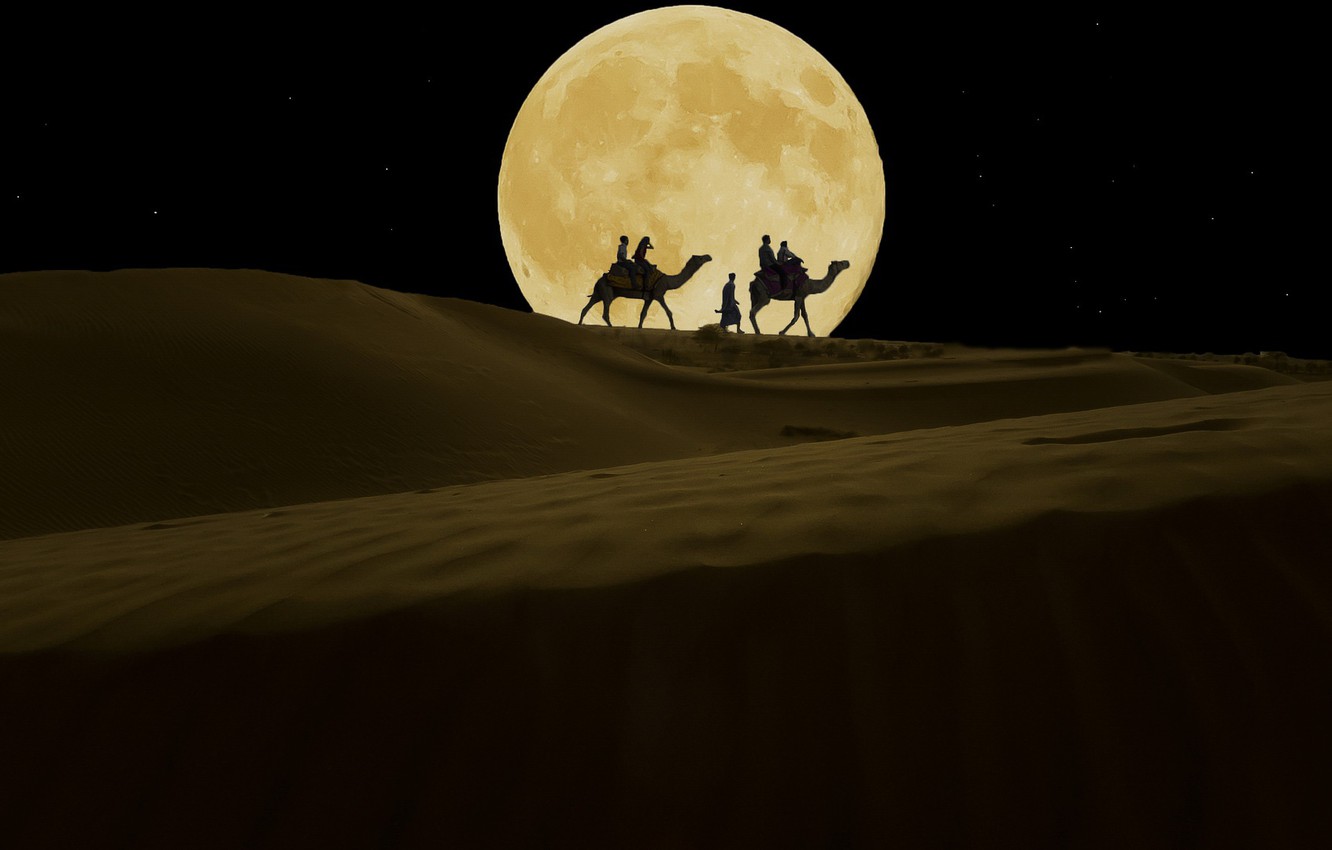 Wallpaper night, the moon, desert, camels image for desktop, section пейзажи