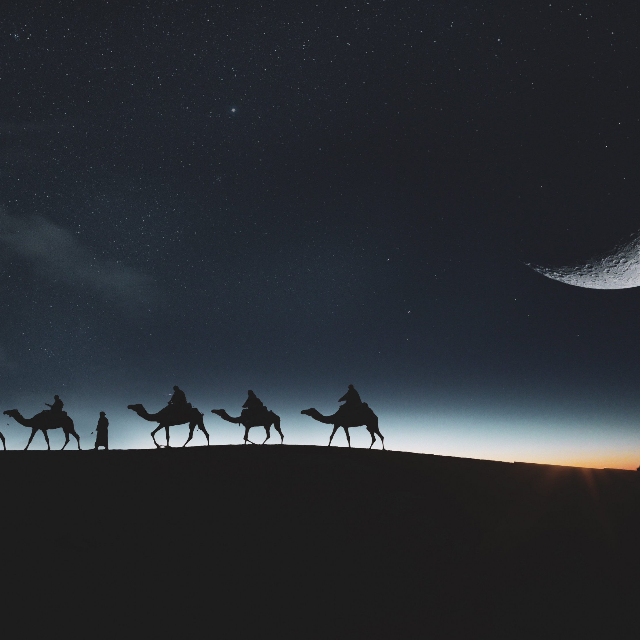 Download wallpaper: Traveling through desert on camels 2224x2224