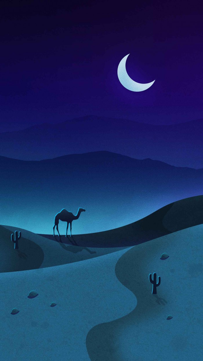 Camel Night Desert IPhone Wallpaper
