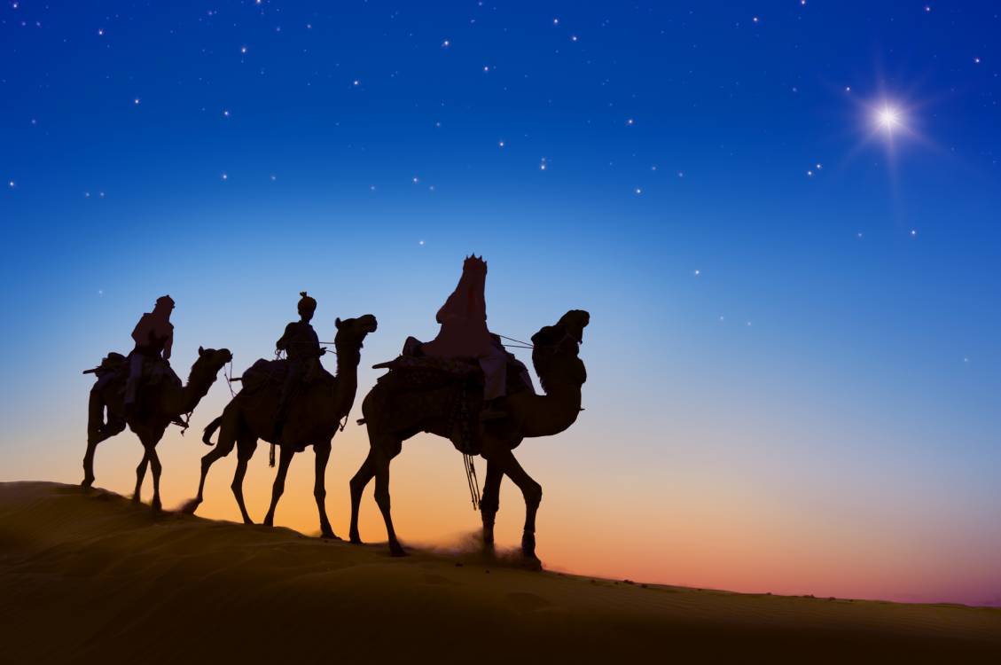 Wallpaper Silhouette of People Riding Camels on Desert During Night Time, Background Free Image