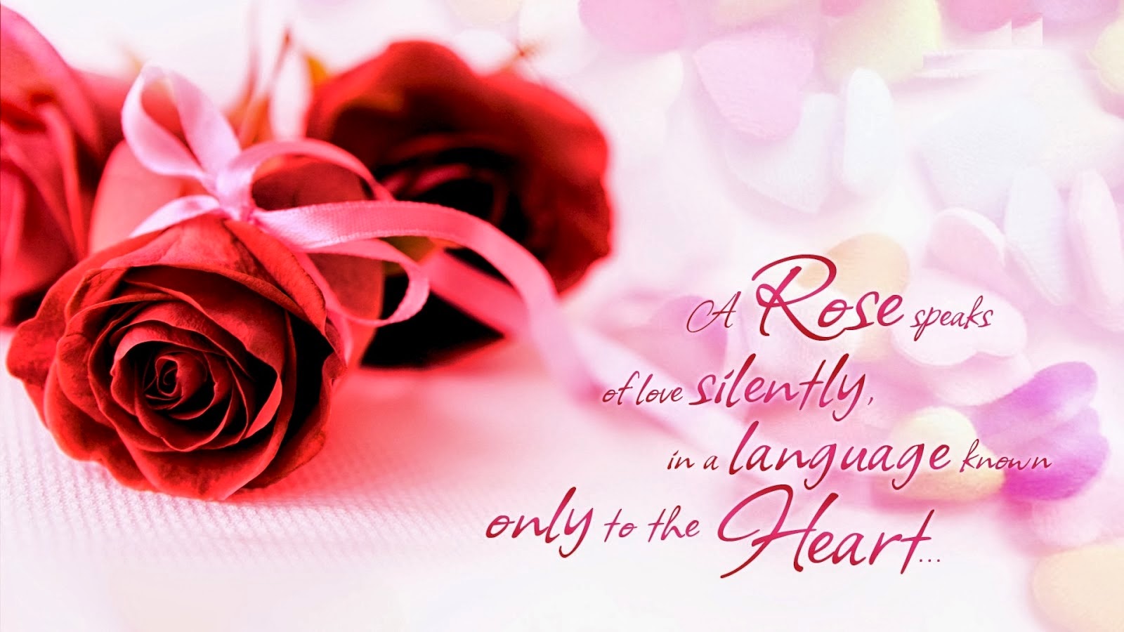 Valentines Day Card Day Wishes HD HD Wallpaper