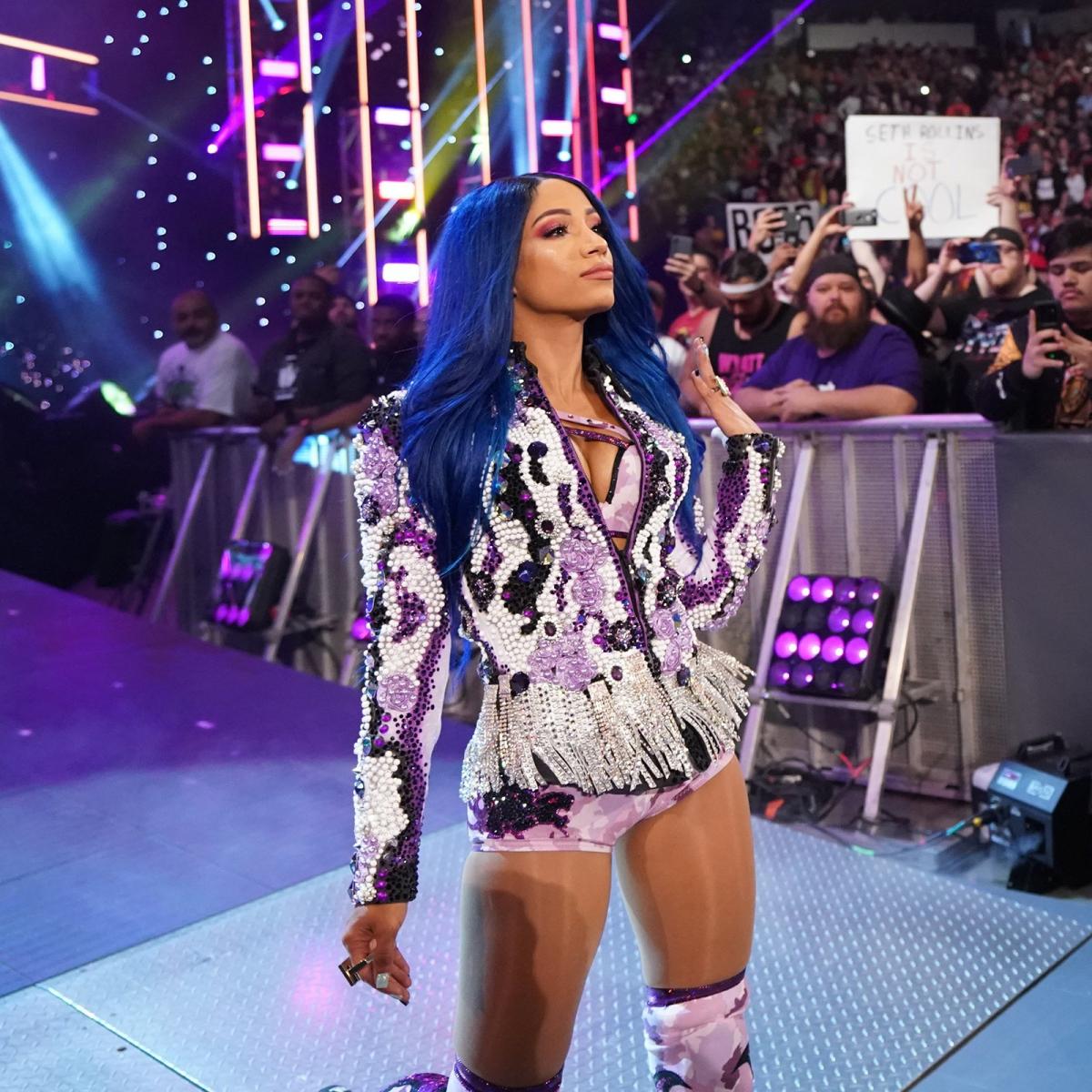 Becky Lynch vs. Sasha Banks - Raw Women's Championship Hell in a Cell Match: photo