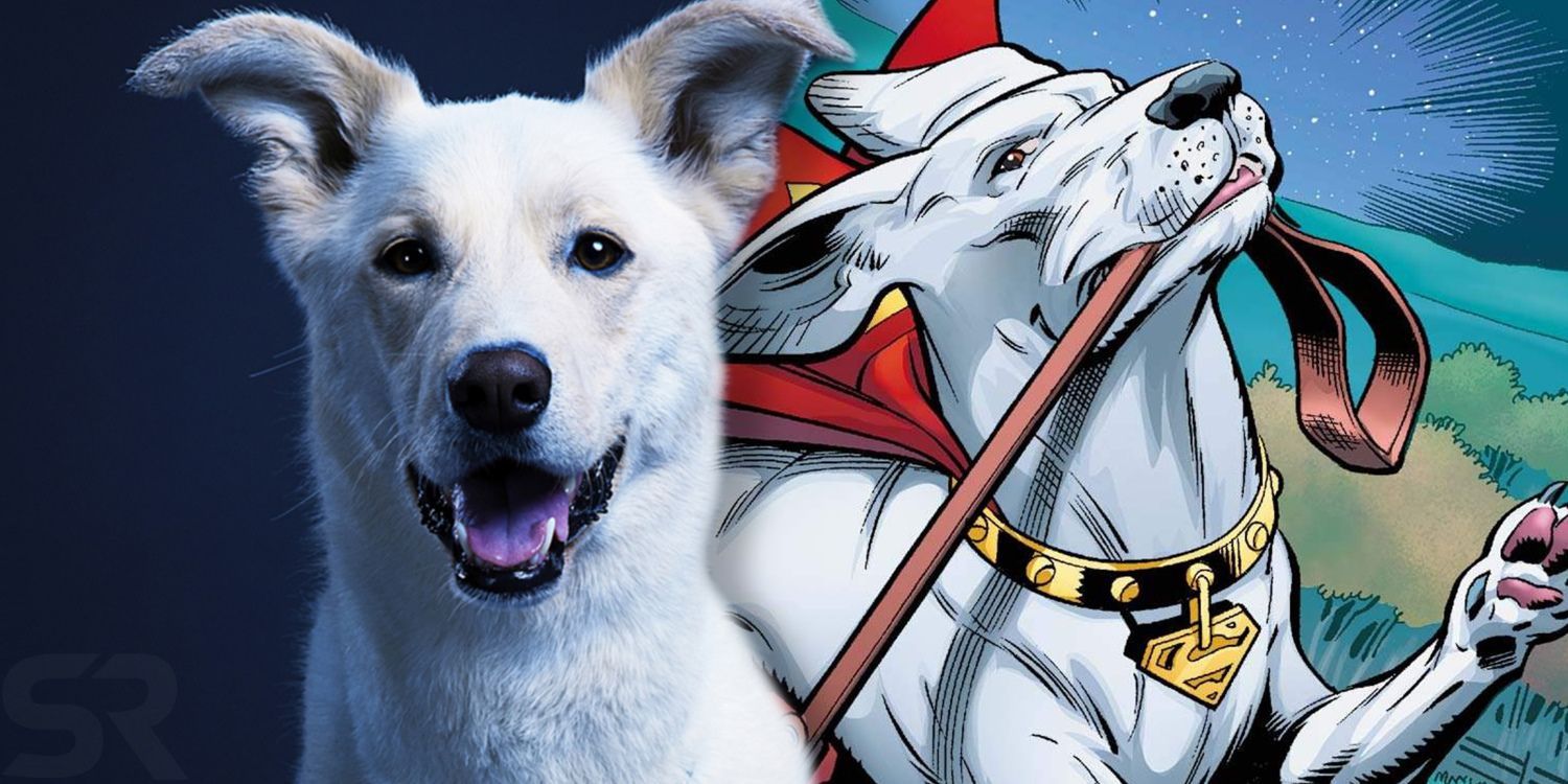 TITANS: Krypto The Superdog's Origins & Powers Explained