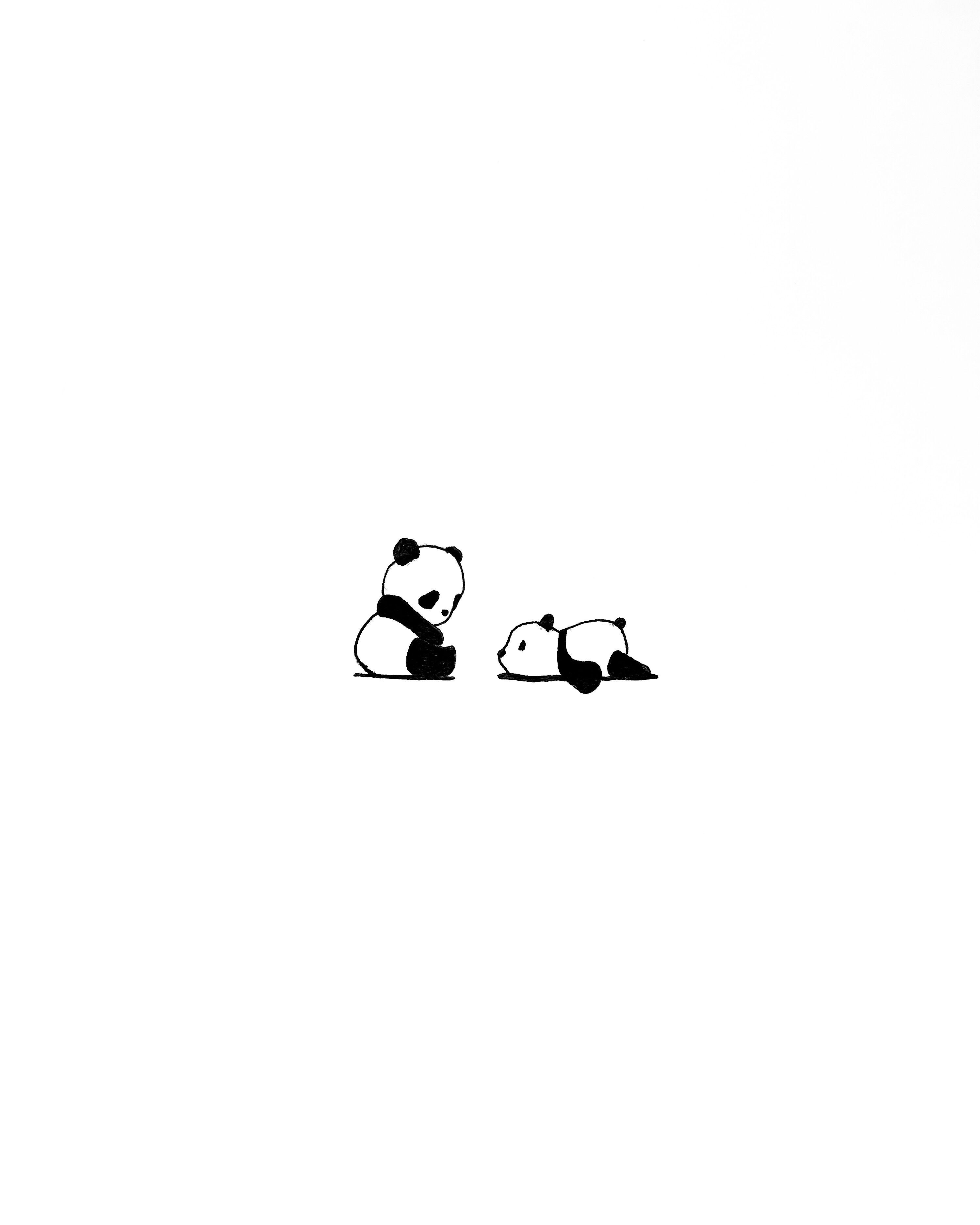 Lazy Panda Wallpaper Free Lazy Panda Background