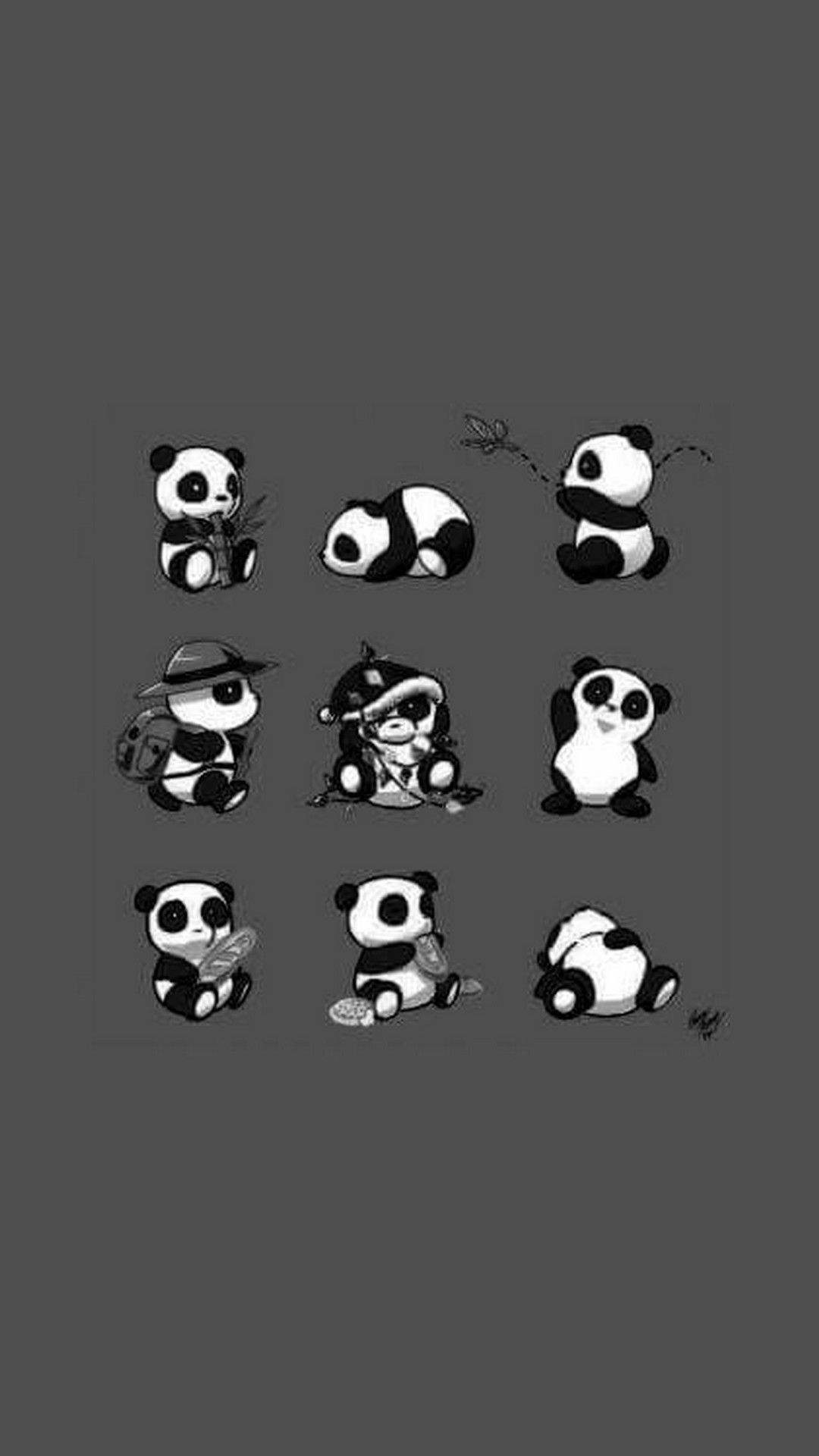 Baby Panda HD Wallpaper For Mobile. Best HD Wallpaper. Panda wallpaper iphone, Panda wallpaper, Baby panda
