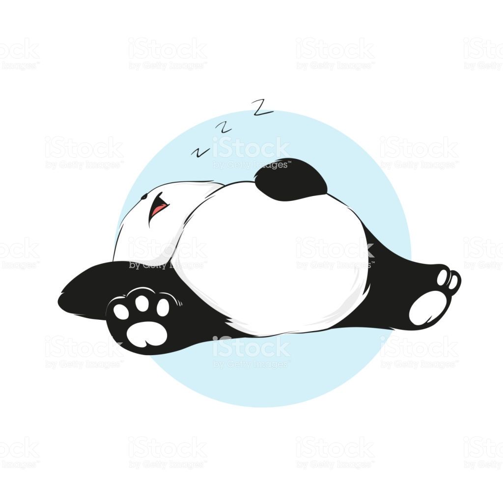 Boring cute sleepping panda in cartoon style. Vector hand drawn. Cute panda drawing, Panda art, Cute panda cartoon
