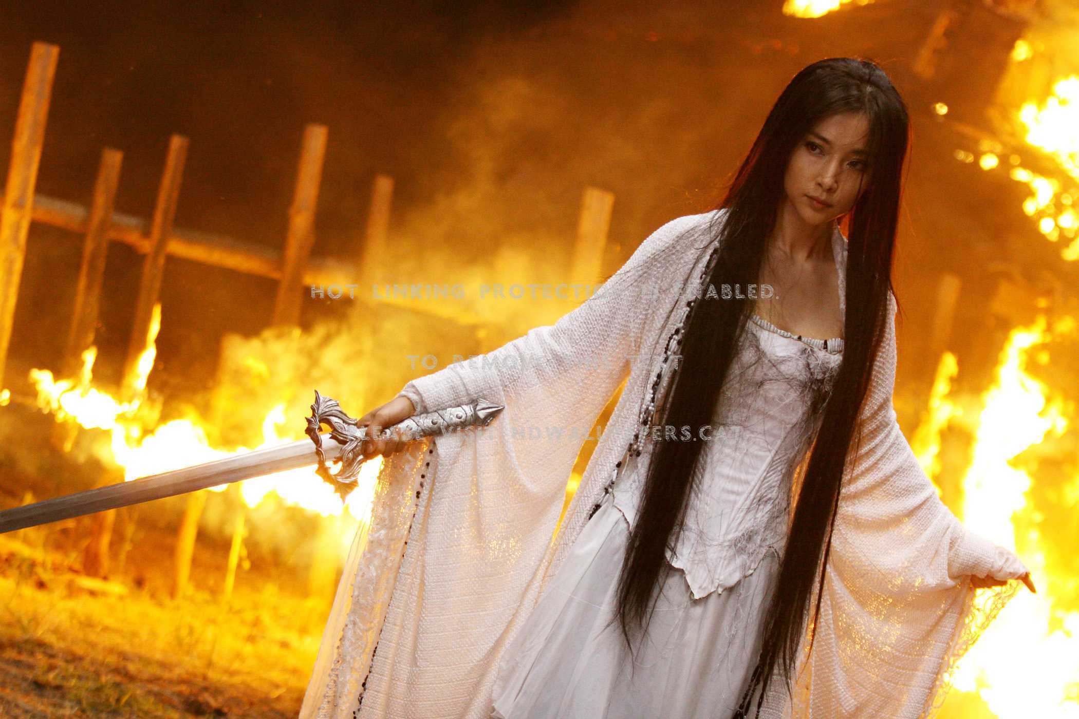 the forbidden kingdom li bingbing collin jet