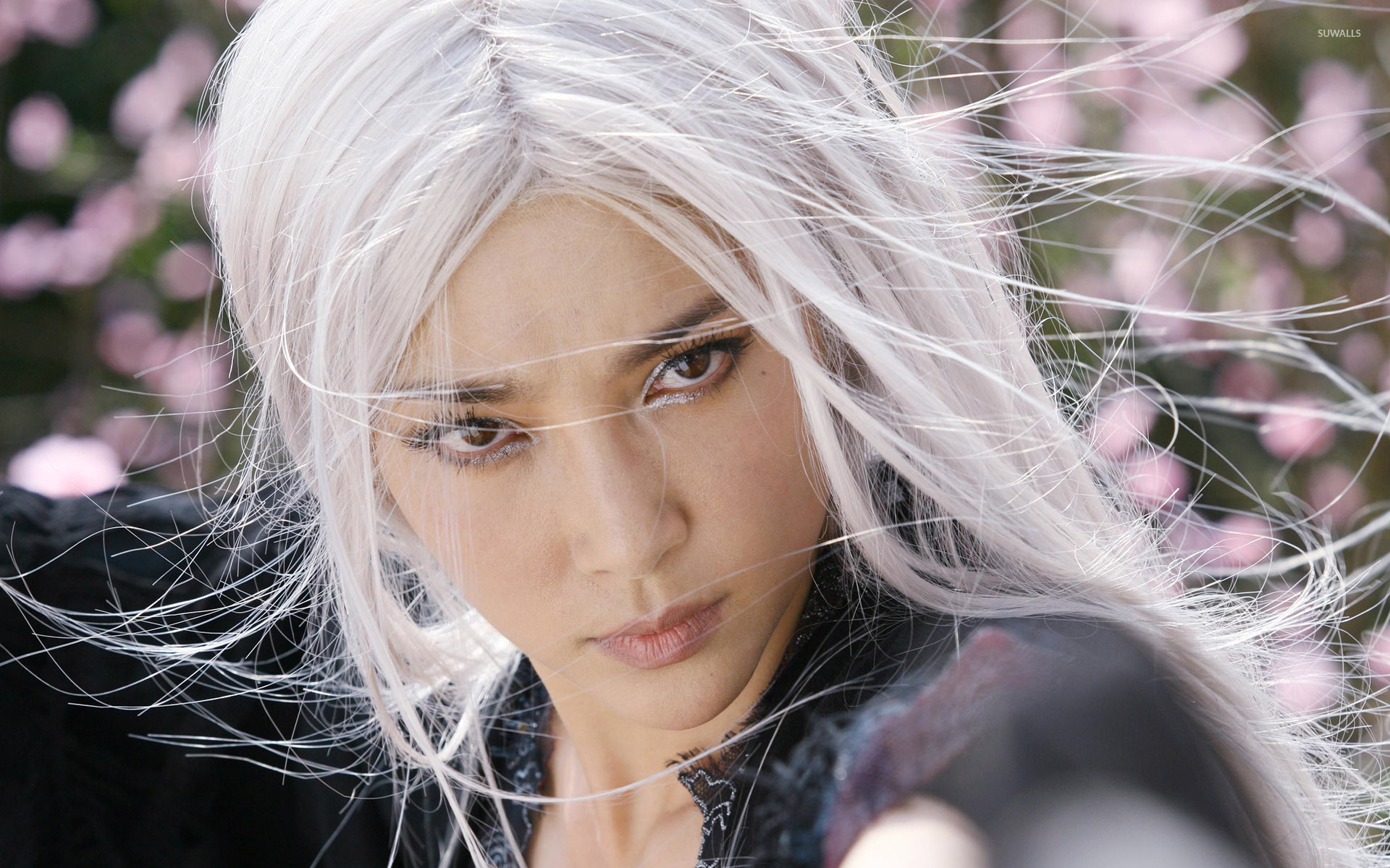White Haired Witch Forbidden Kingdom Wallpaper Wallpaper