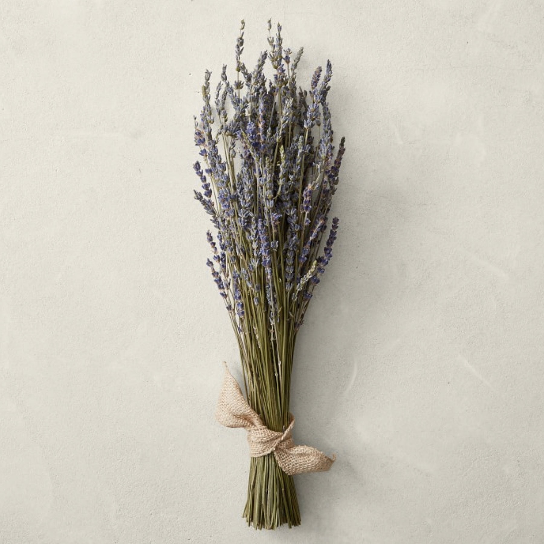 Dried Flower Wallpapers - Wallpaper Cave