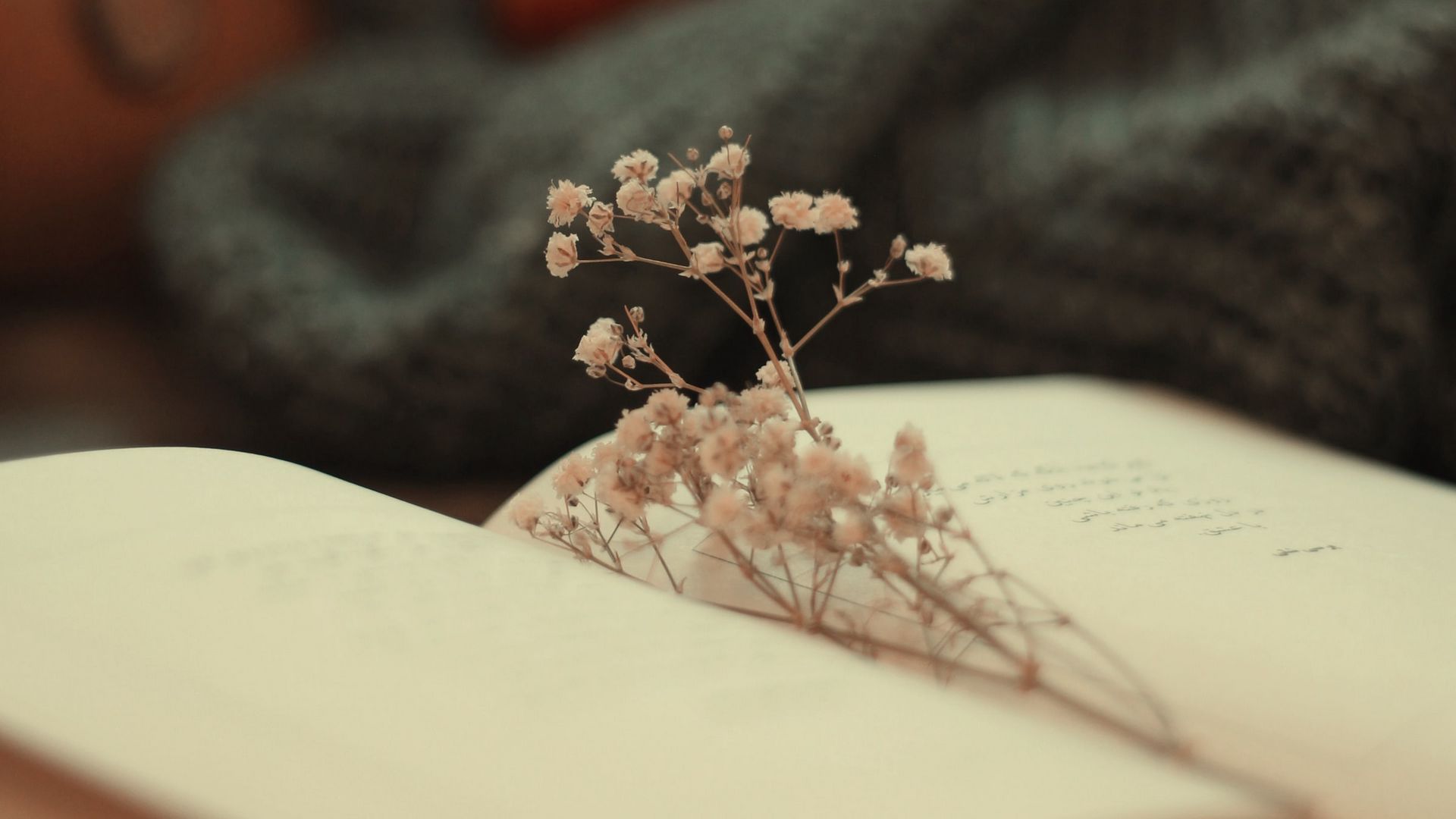 Download wallpaper 1920x1080 book, dried flowers, pages, flowers full hd, hdtv, fhd, 1080p HD background
