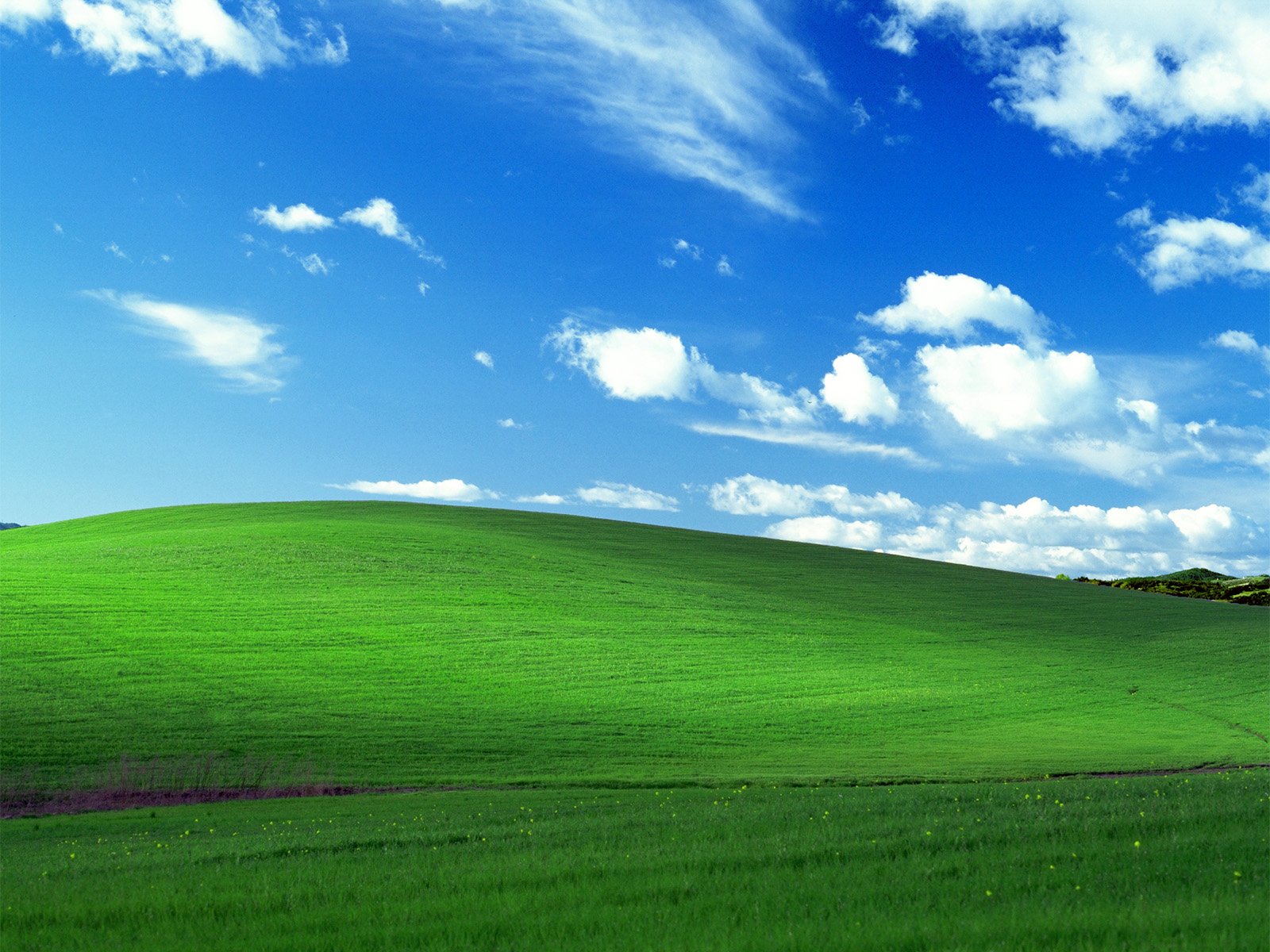 Windows 99