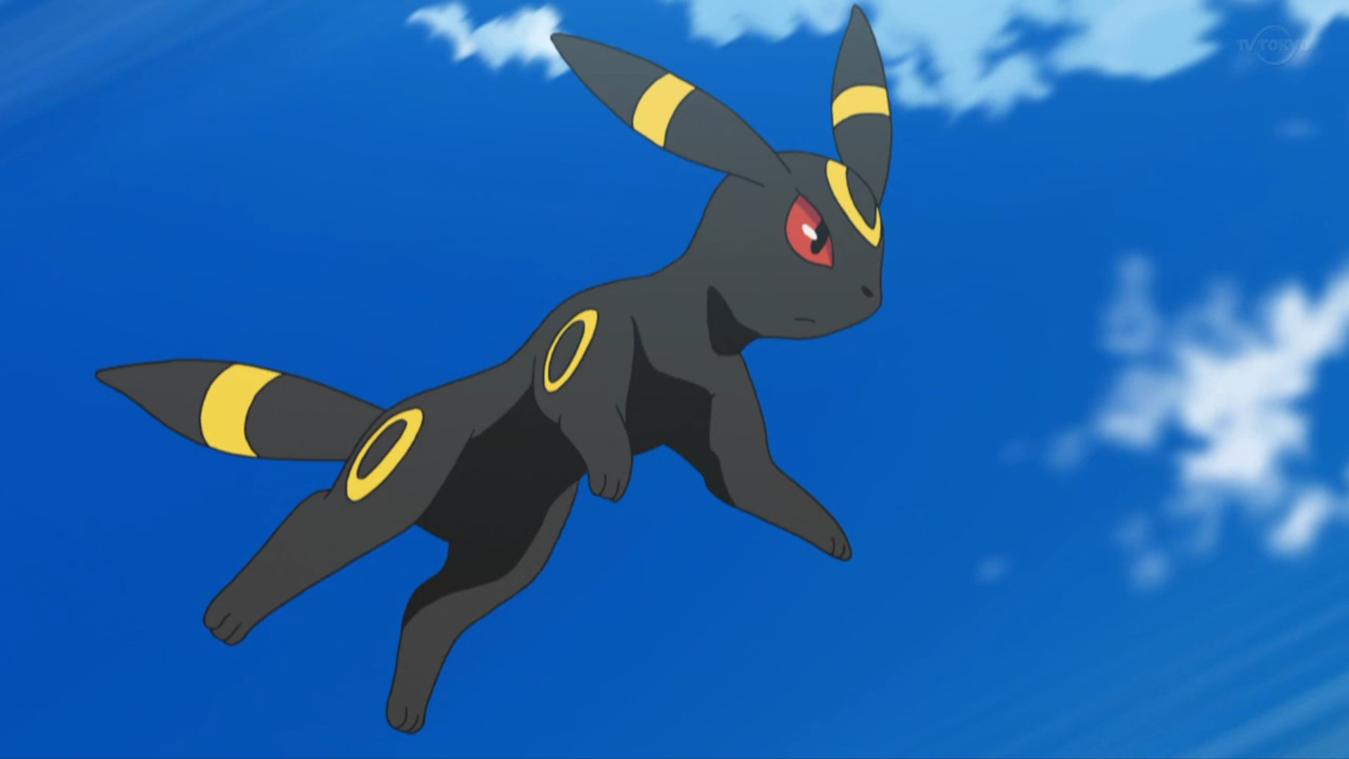 Ringo (Miki's Umbreon). Pooh's Adventures