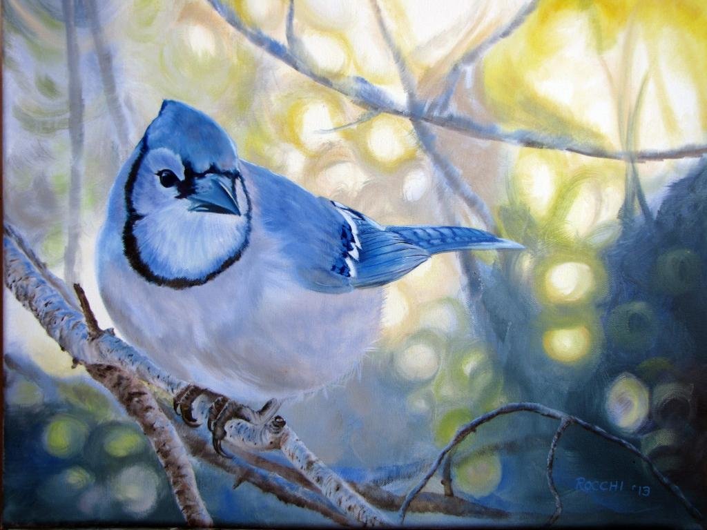 Blue Jay Bird Wallpapers Wallpaper Cave