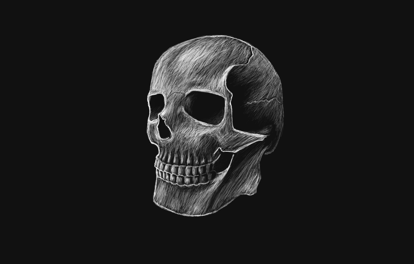 Wallpaper the dark background, skull, head, skeleton image for desktop, section минимализм