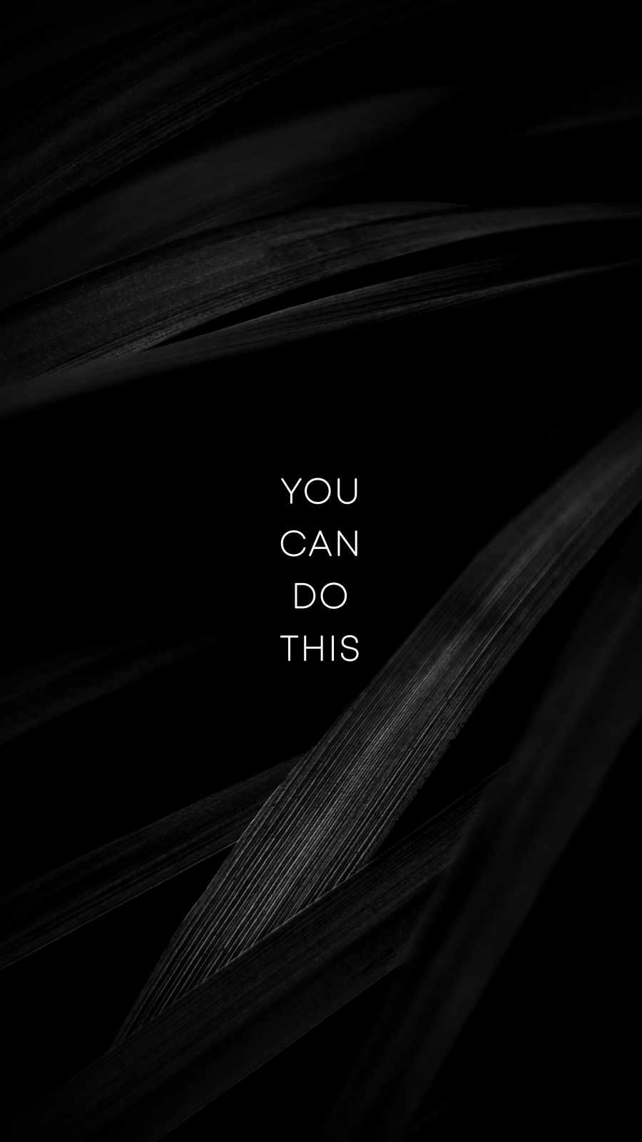 HD you can do it wallpapers | Peakpx