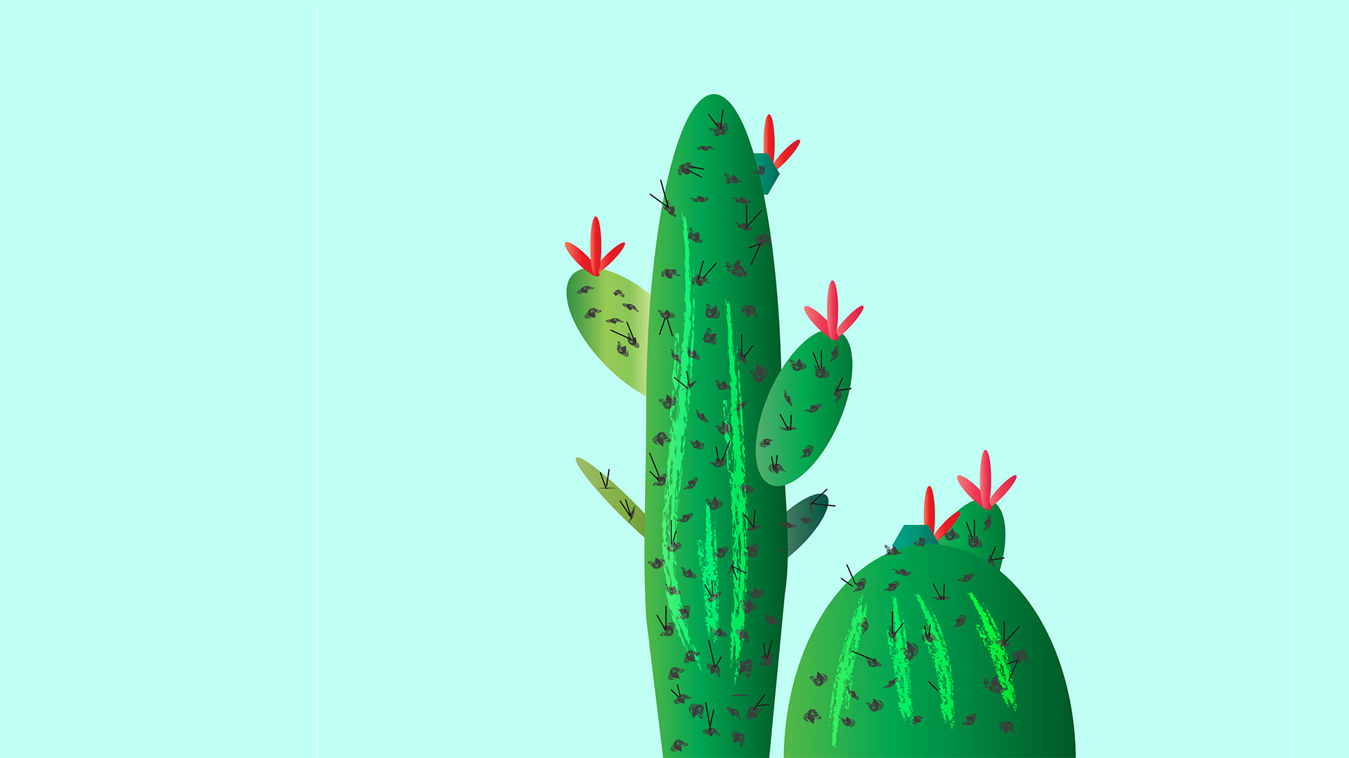 Cactus Wallpaper By Edward Allen