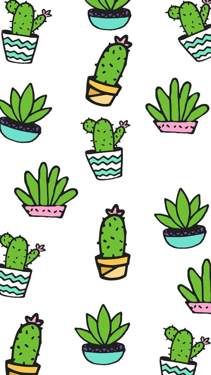 Cactus Wallpaper uploaded
