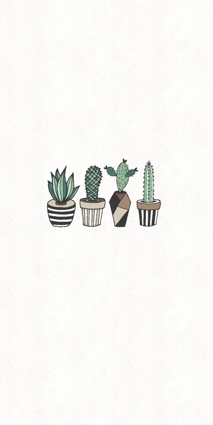 Walpapers. Kaktüs, Duvar kağıtları, Duvar kağıdı. Cactus drawing, Minimalist wallpaper, Plant wallpaper