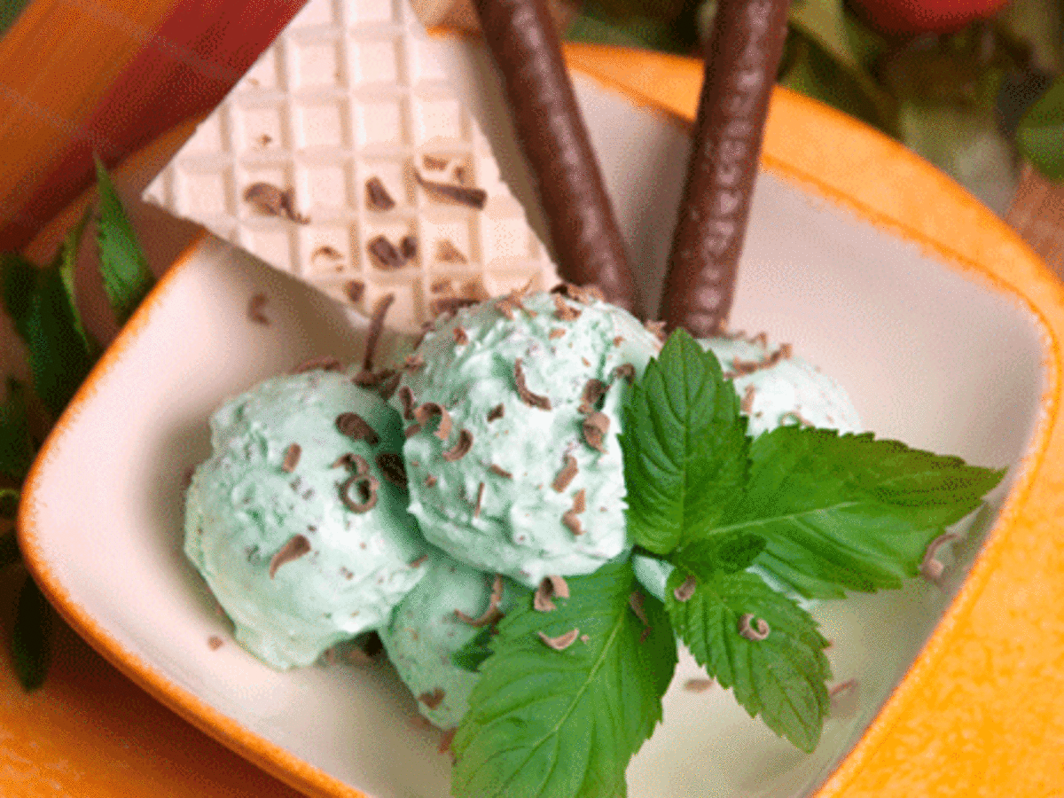 Mint Chocolate Chip Ice Cream Recipe: How to Make Mint Chocolate Chip Ice Cream Recipe. Homemade Mint Chocolate Chip Ice Cream Recipe