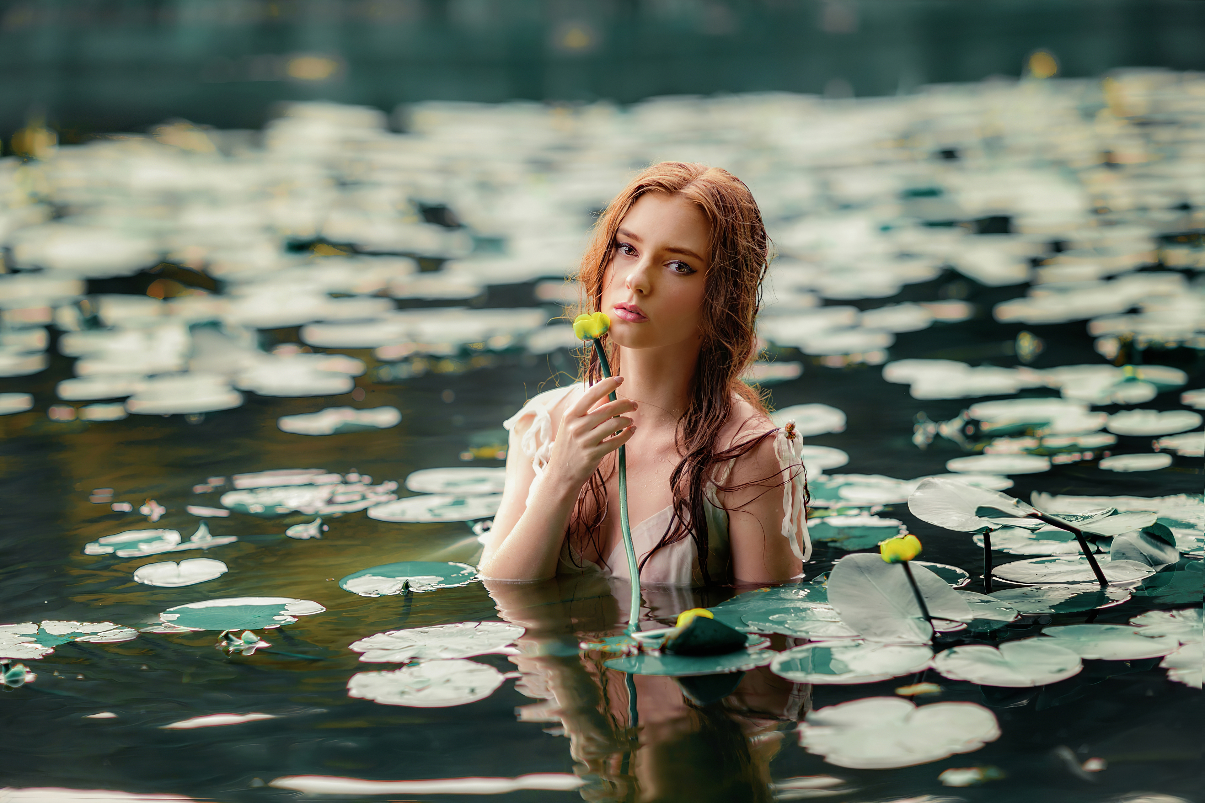 Girl With Flower In Water 4k, HD Girls, 4k Wallpaper, Image, Background, Photo and Picture