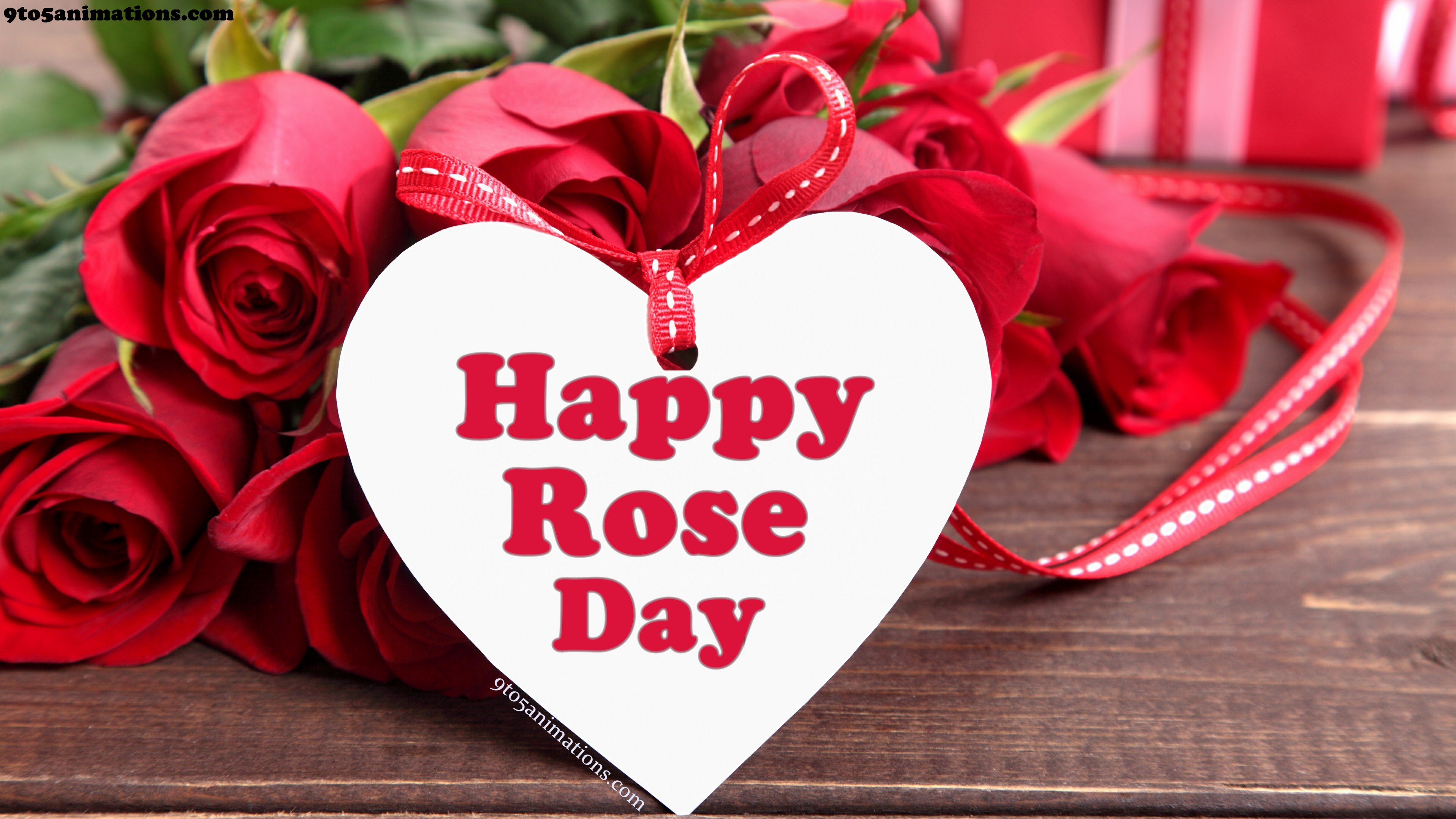 Rose Day Valentine's Week Love Imageto5animations.com Wallpaper, Gifs, Background, Image