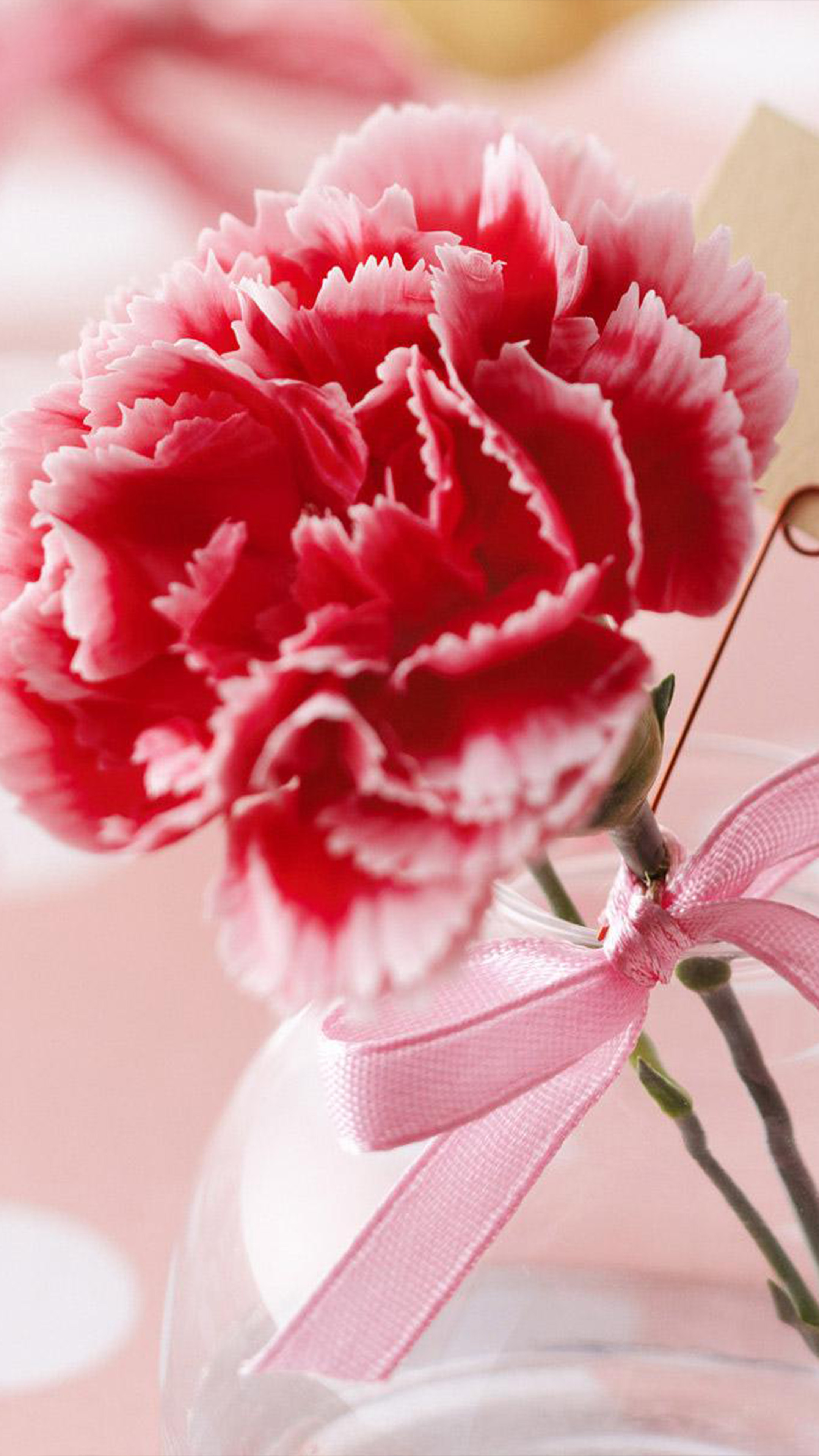 Valentine's Day Mobile Wallpapers - Wallpaper Cave