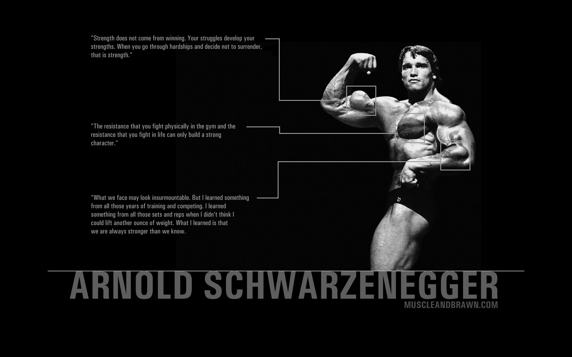 Arnold Schwarzenegger Quotes Wallpaper Free Arnold Schwarzenegger Quotes Background