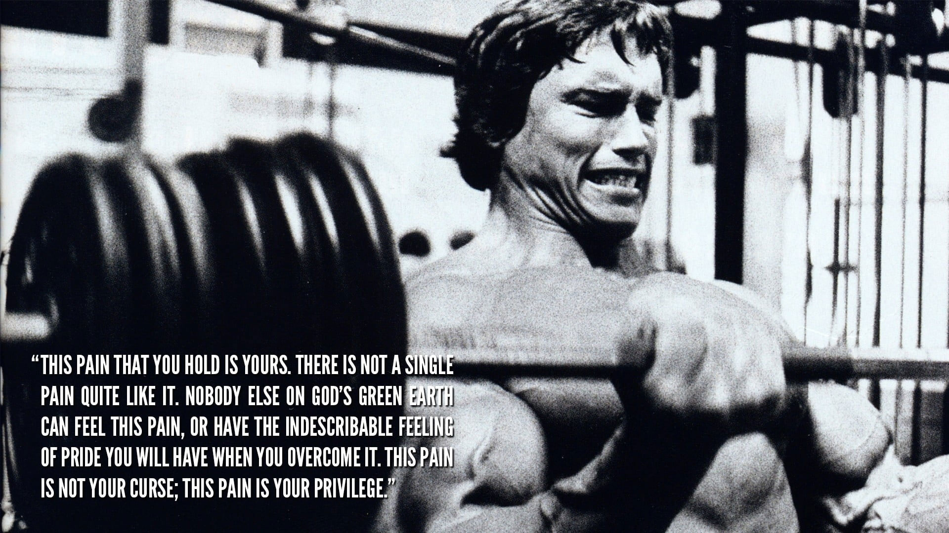 Arnold Schwarzenegger Wallpaper, Bodybuilder, Bodybuilding, Motivational • Wallpaper For You