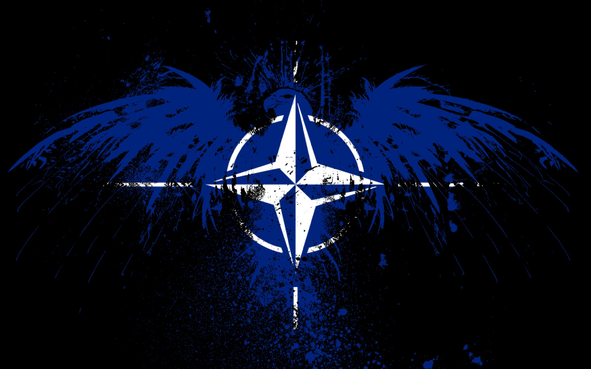 Eagles Flags NATO