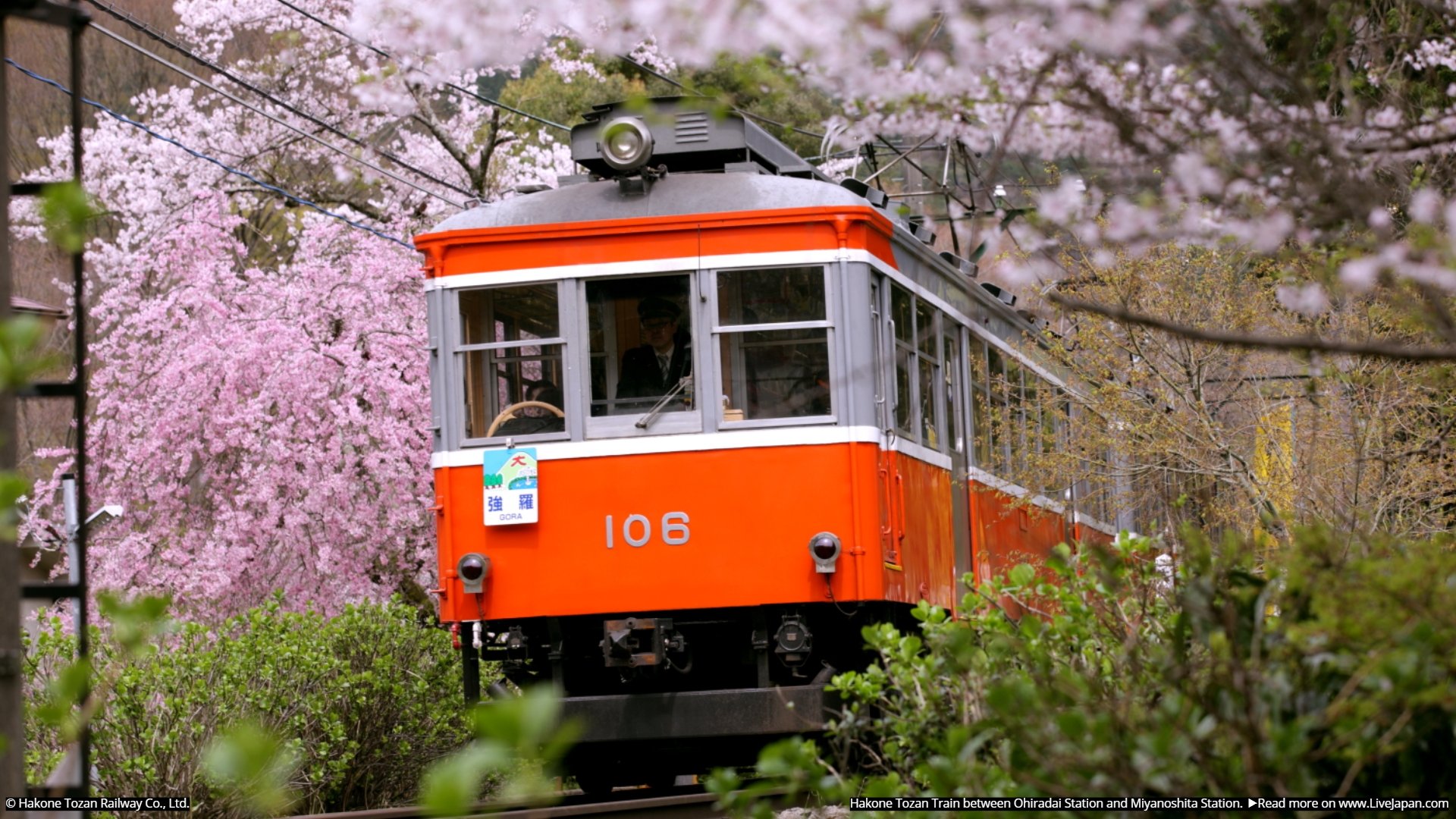 These 20 Incredible Photo of Japan's Trains Will Make You Famous on Video Chat!. LIVE JAPAN travel guide
