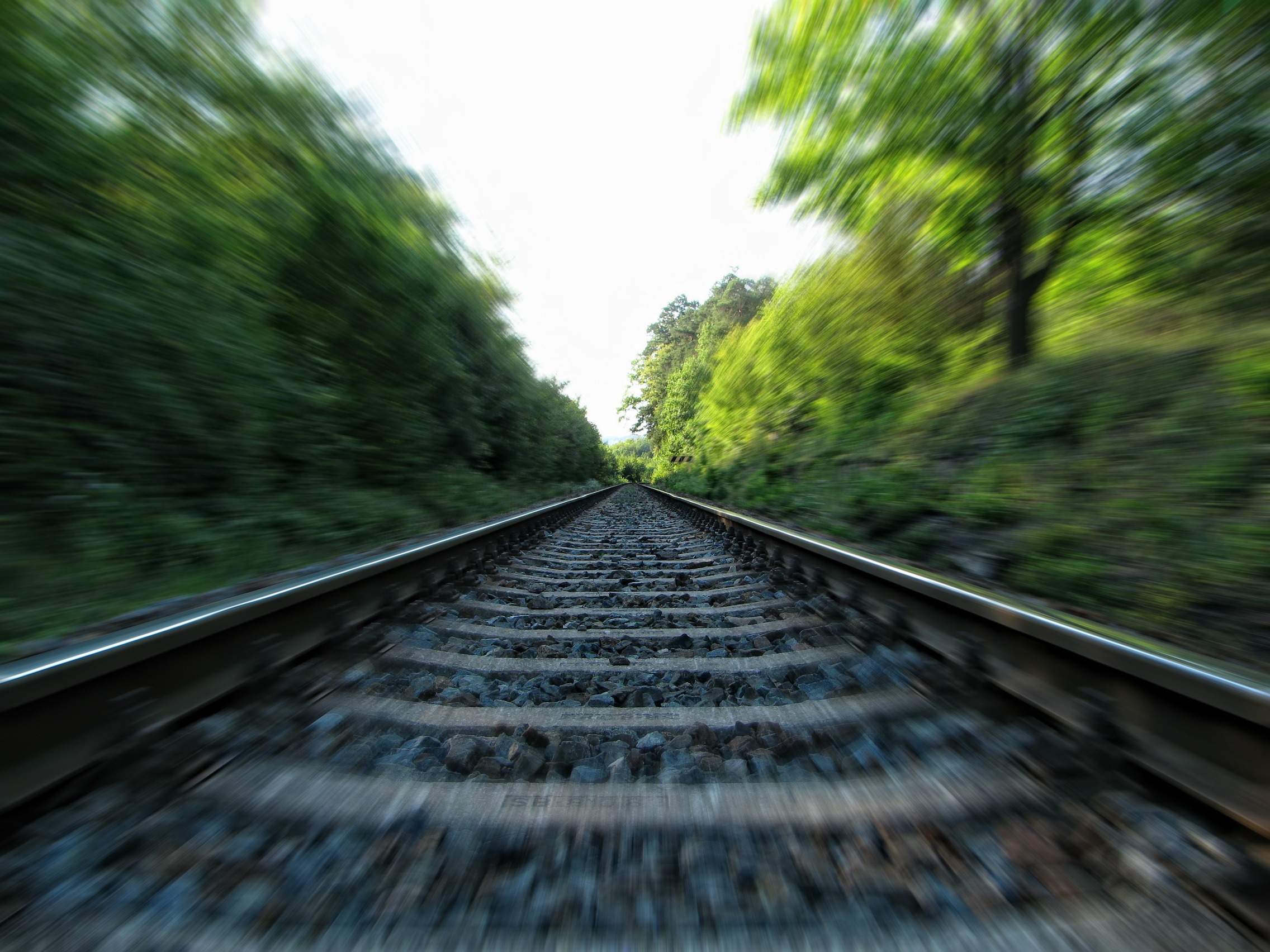 Gray Metal Railway Across in Green Trees during Day Time · Free