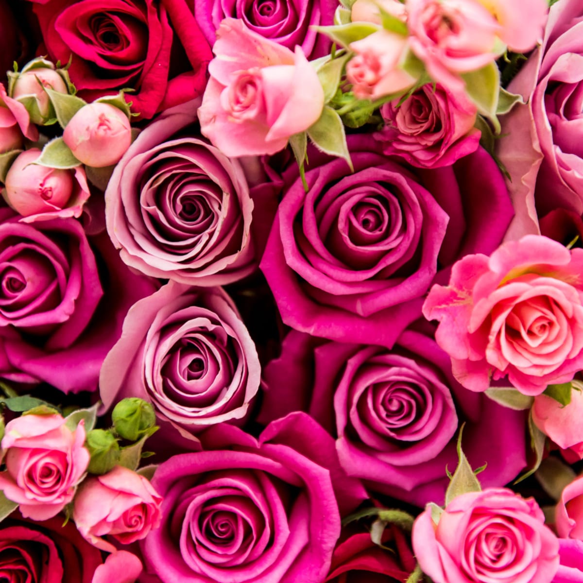 Valentine's Day 2023: Origins, Background & Traditions