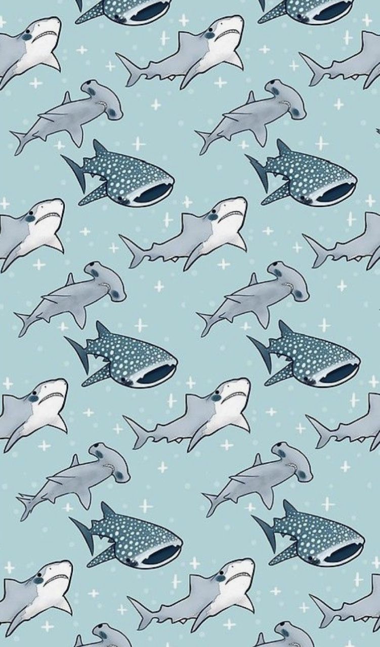 Kawaii Shark Wallpaper