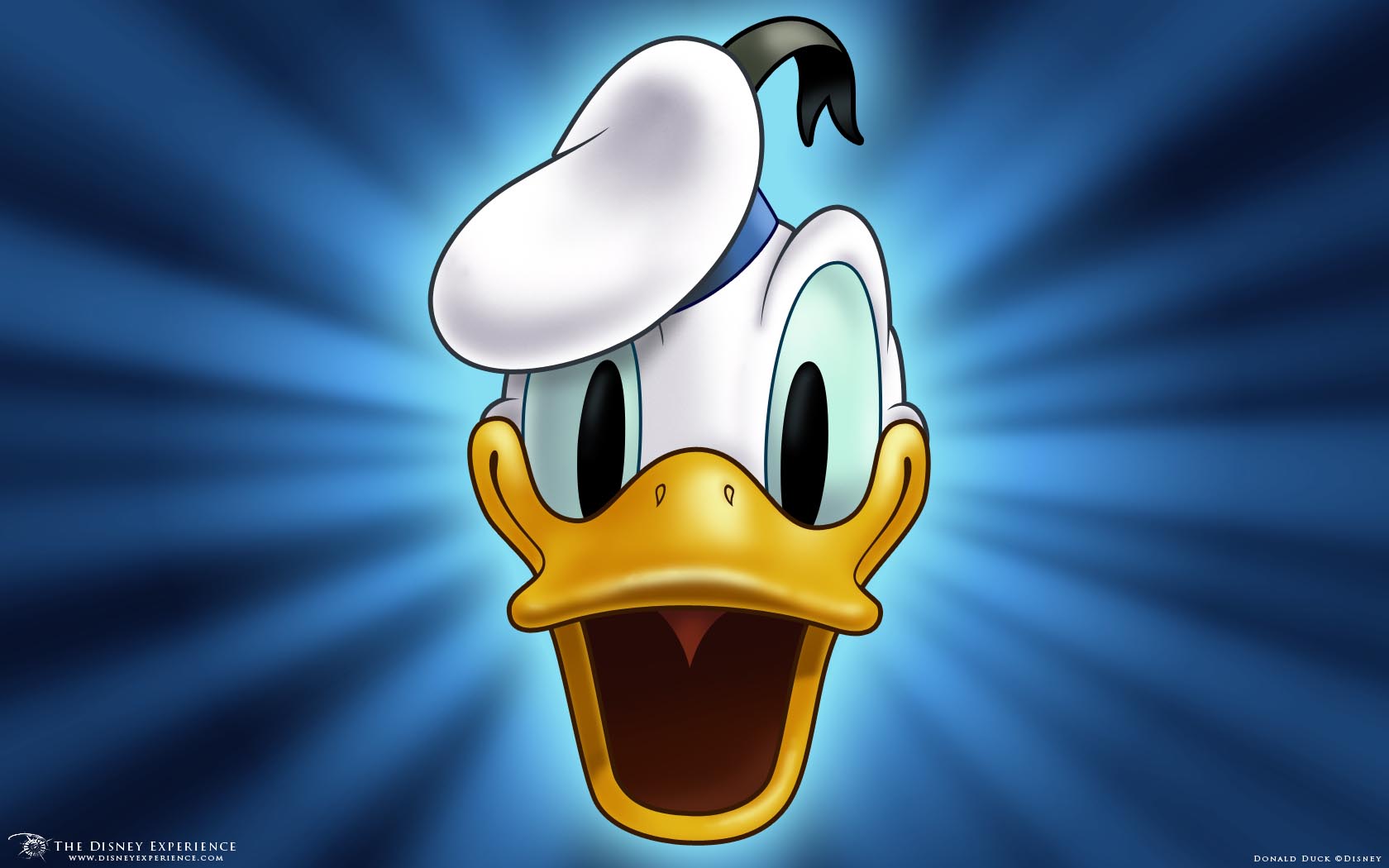 Donald Duck Wallpaperx1050