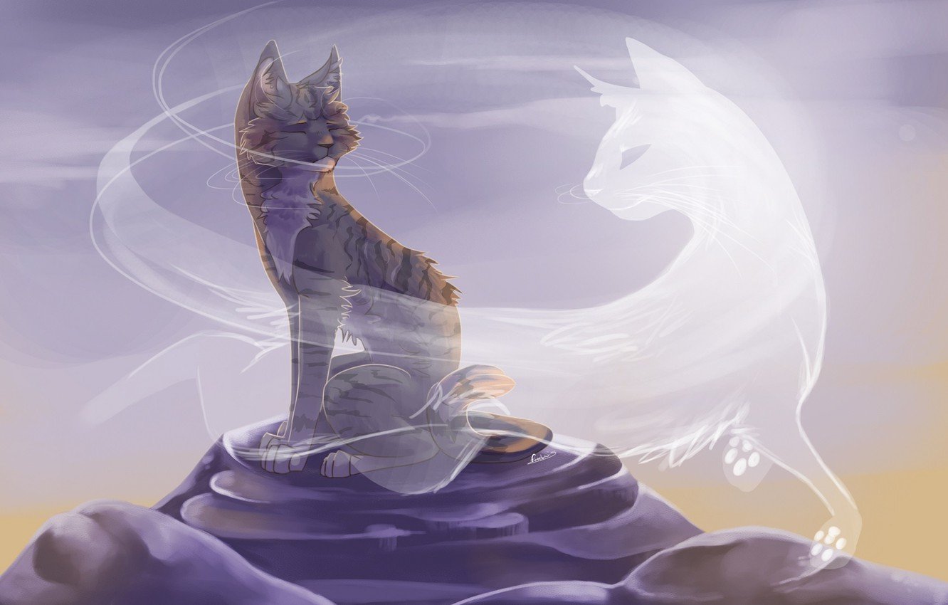 Wallpaper cat, art, Ghost image for desktop, section арт