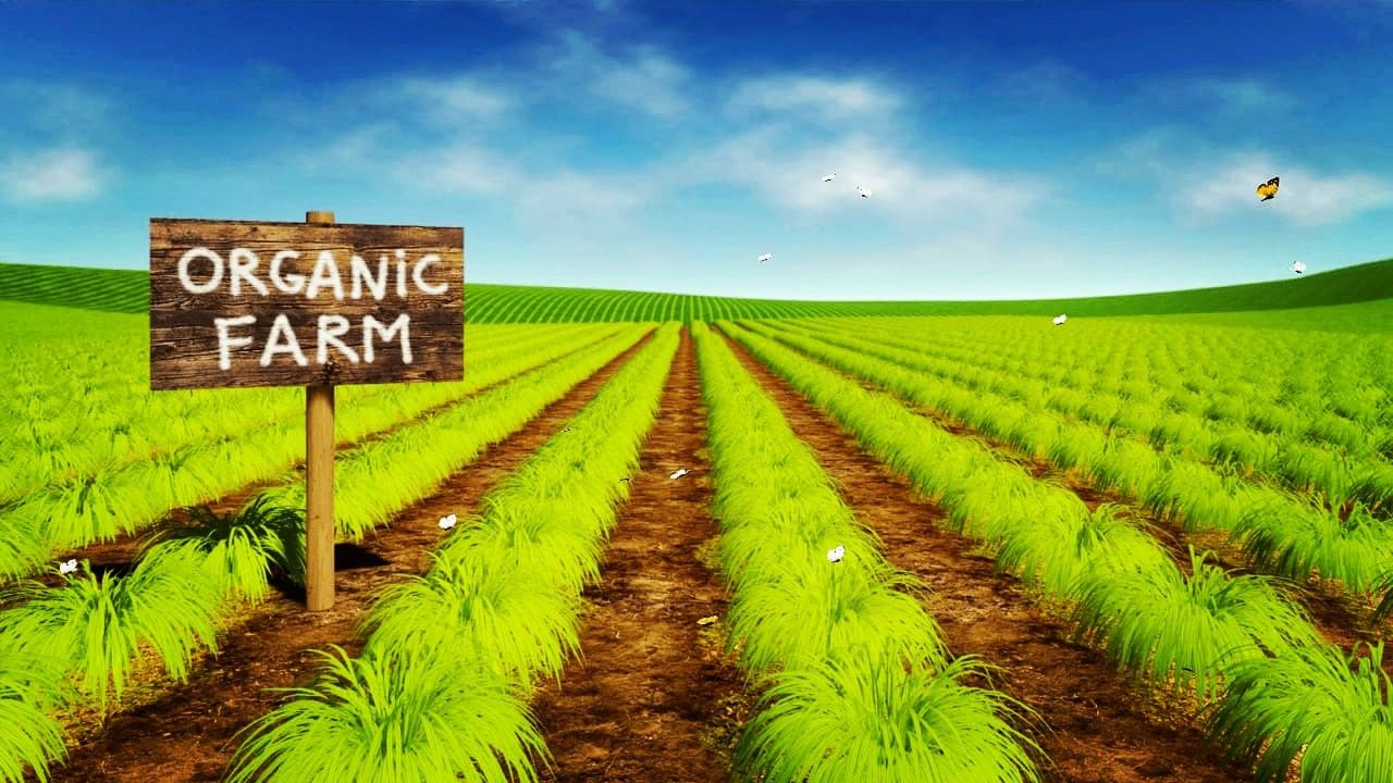 Organic Farming Wallpapers Wallpaper Cave