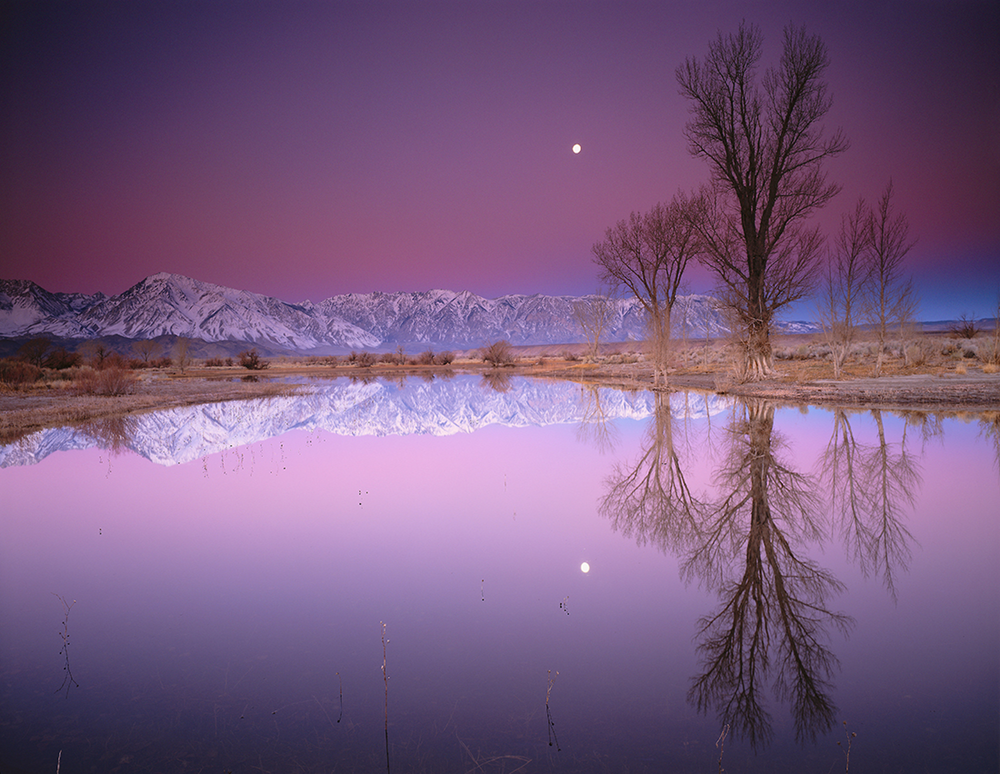 Farmer's Pond Moonset at Sunrise Clevenger Photography