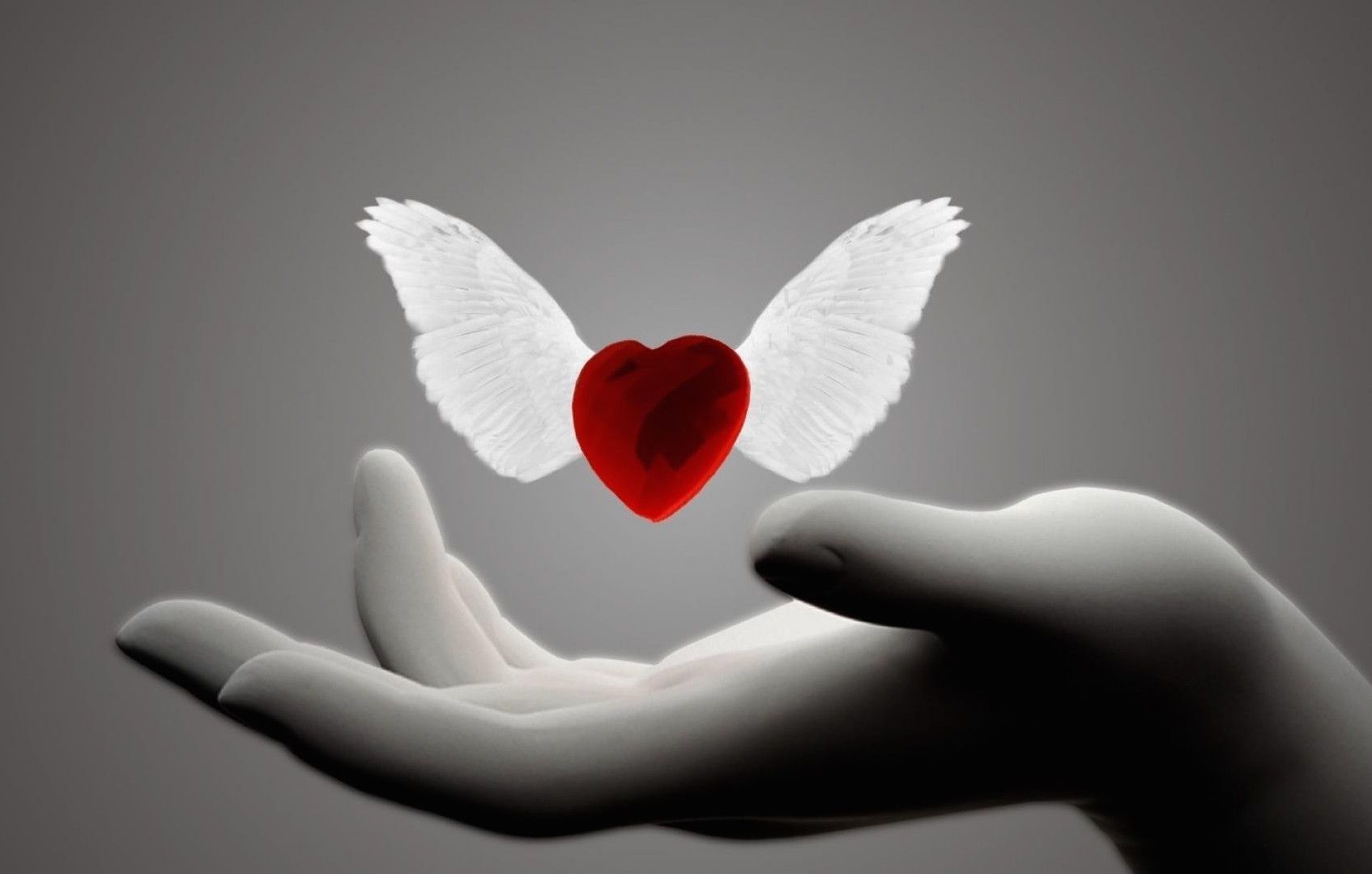 Heart with Wings Wallpaper Free Heart with Wings Background