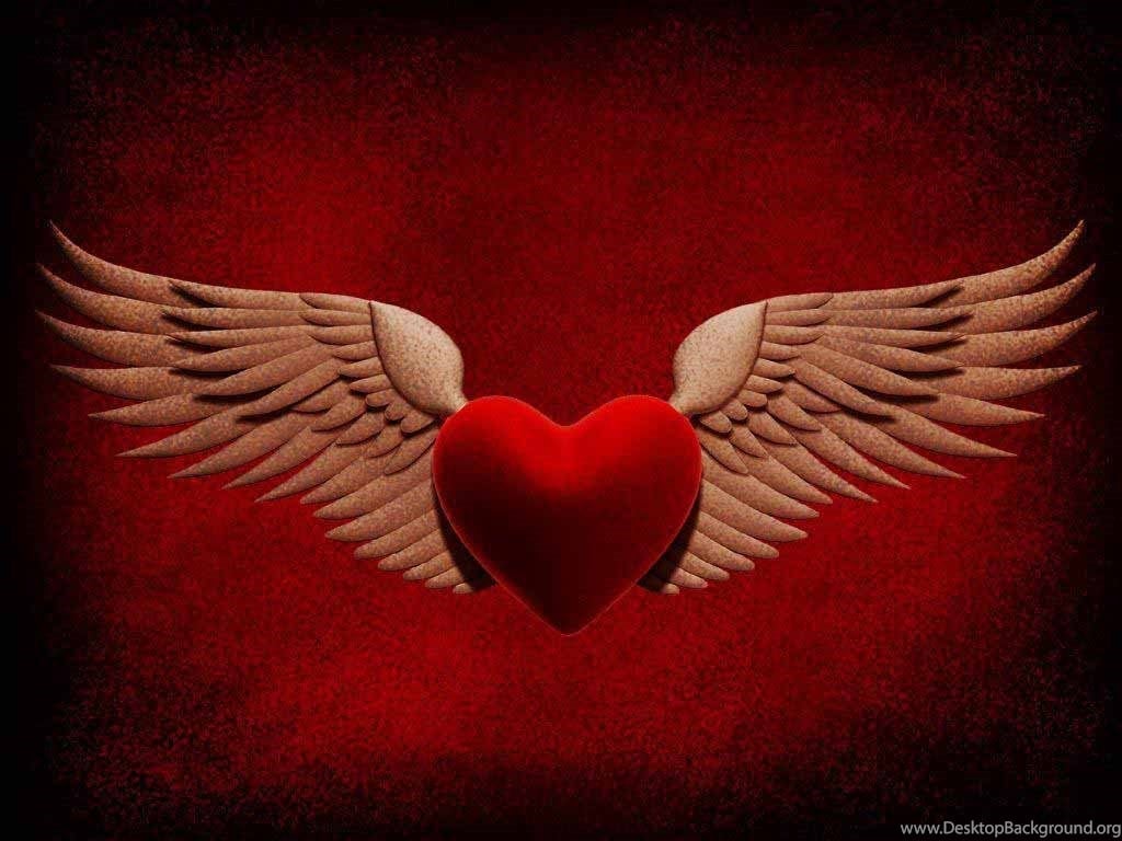 Heart Wings HD Wallpaper Desktop Background