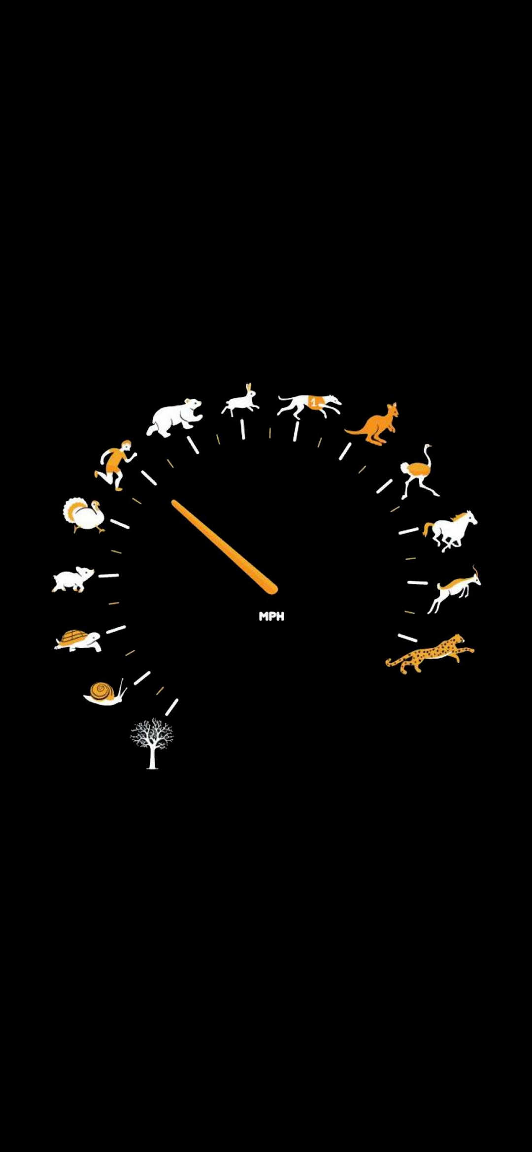 Mobile Full HD AMOLED Wallpaper 1080×2340