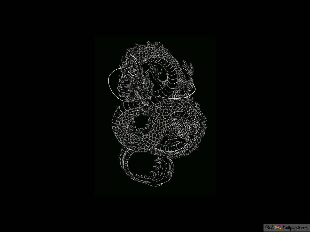 Dragon minimalist drawing black and white HD wallpaper download and White wallpaper