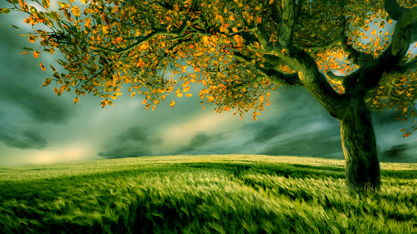 Hd tree wallpaper