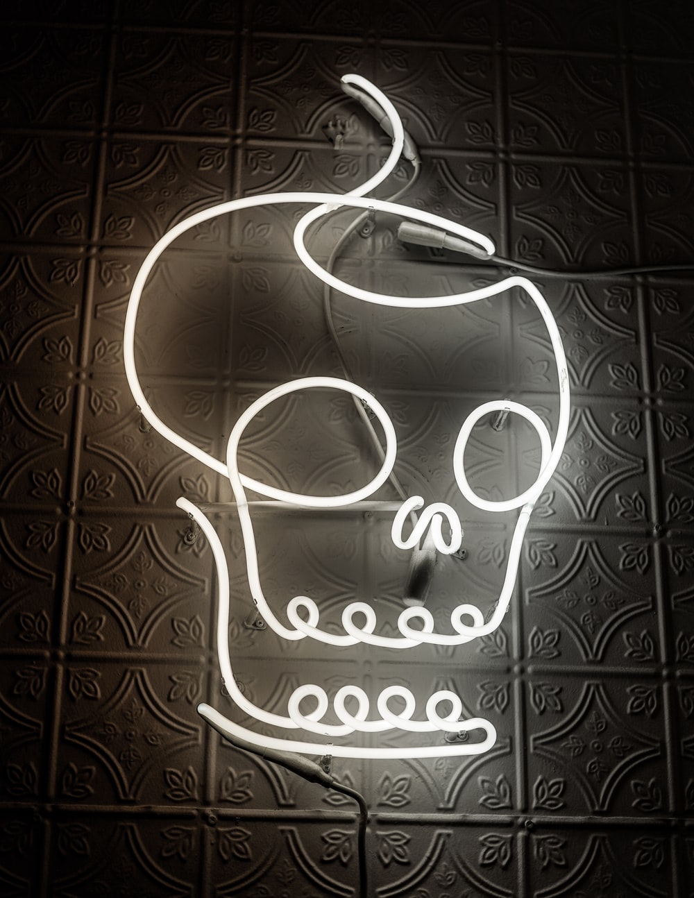 human skull neon light signage photo