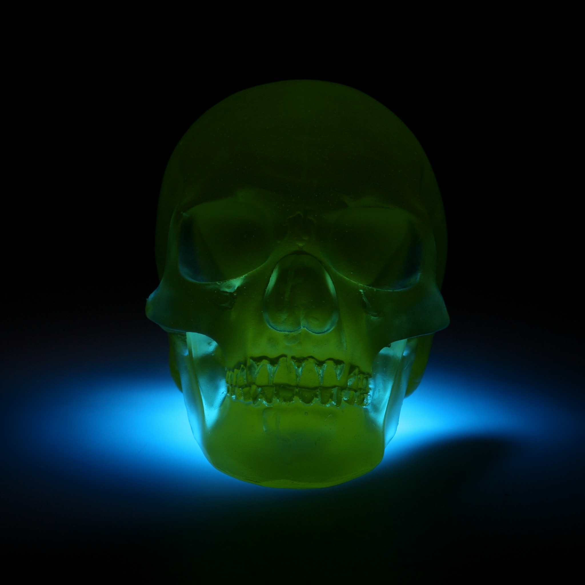 Wallpaper 4k skull, 3D model, neon, shadow 4k Wallpaper