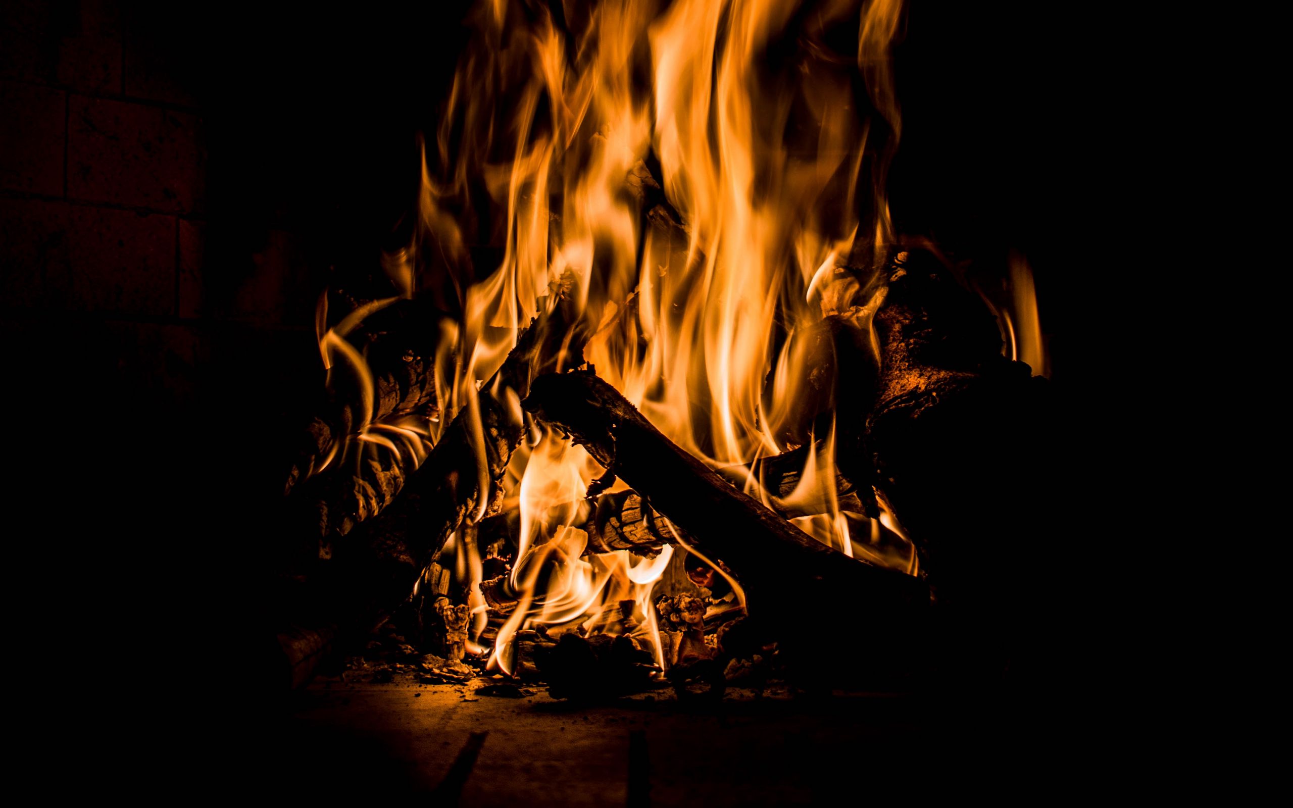Download wallpaper 2560x1600 bonfire, fire, flame, burning, dark, firewood widescreen 16:10 HD background