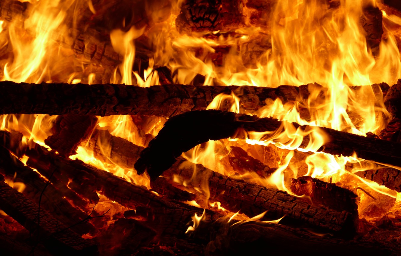 Wallpaper fire, flame, the fire, heat, wood, coal, fireplace, the fire, burning image for desktop, section разное
