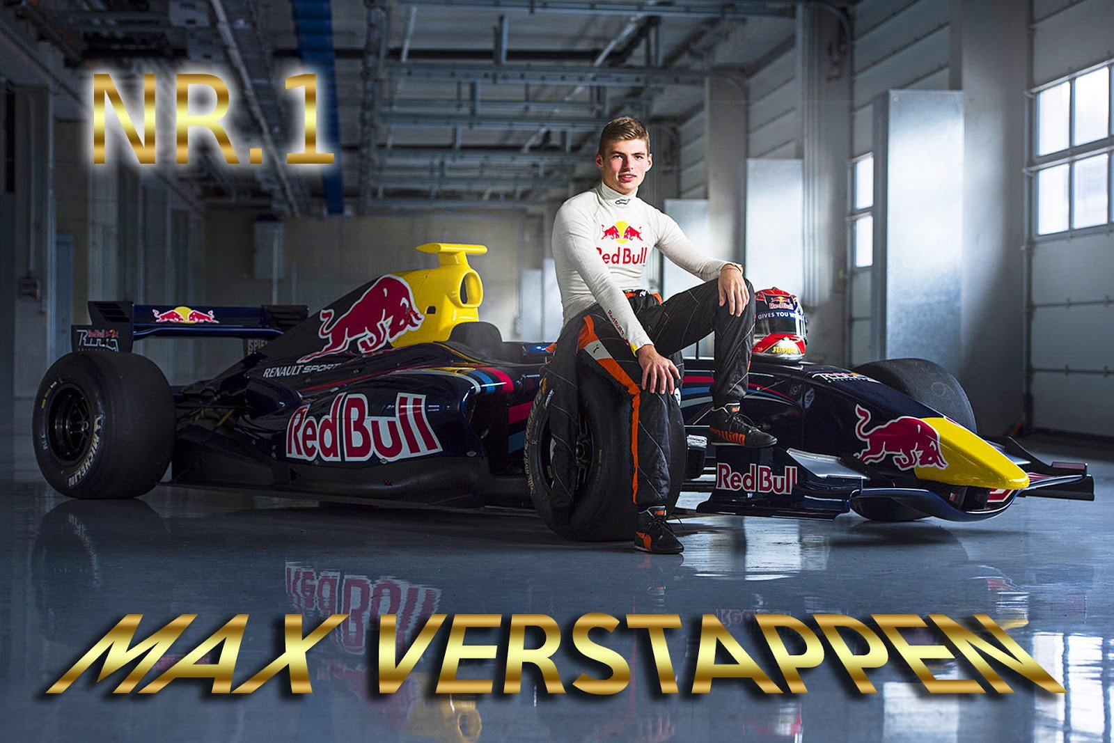 Max Verstappen Red Bull 2017